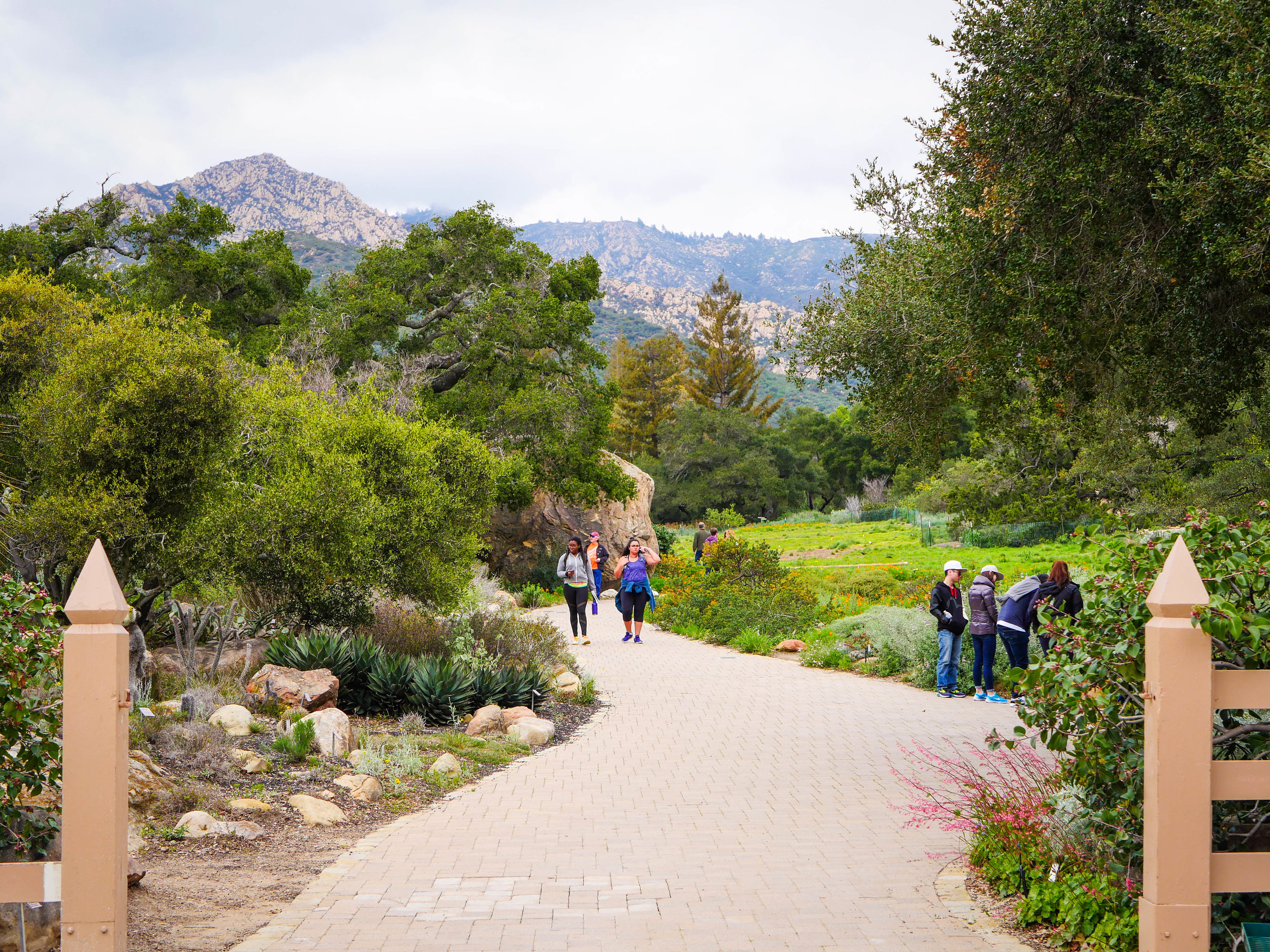 Santa Barbara Botanic Garden Escape From The Bay