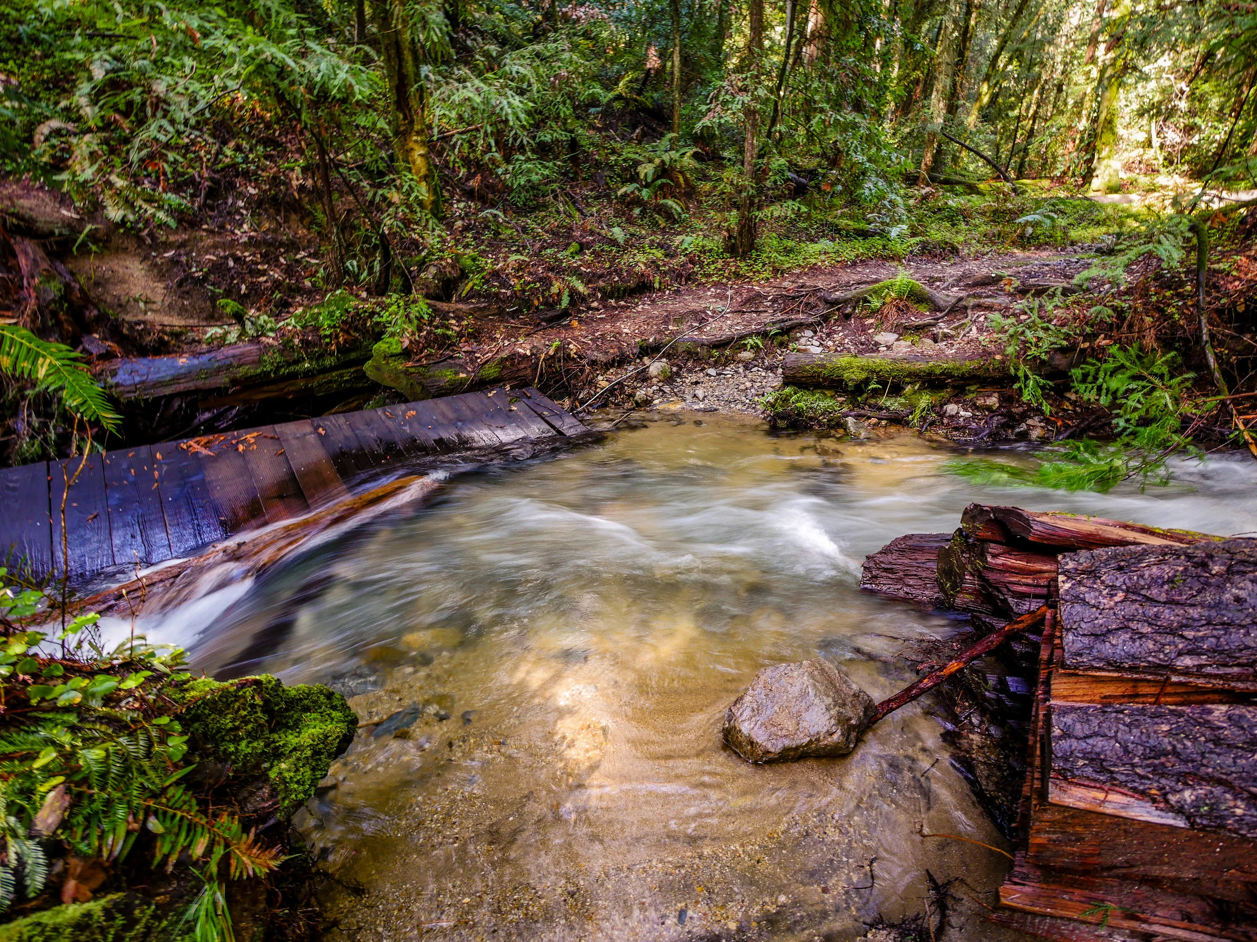 A washed out bridge and fast moving stream blocked the trail. 