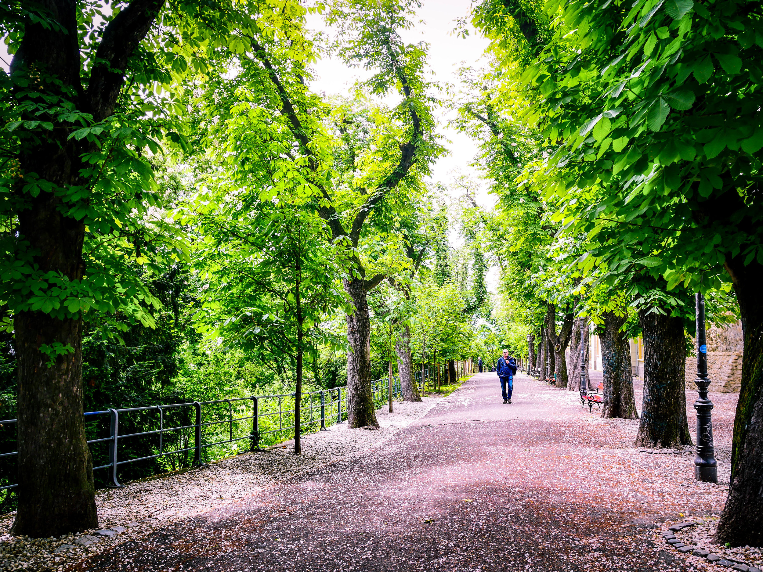 Walking along the Strossmayer Promenade in Zagreb.