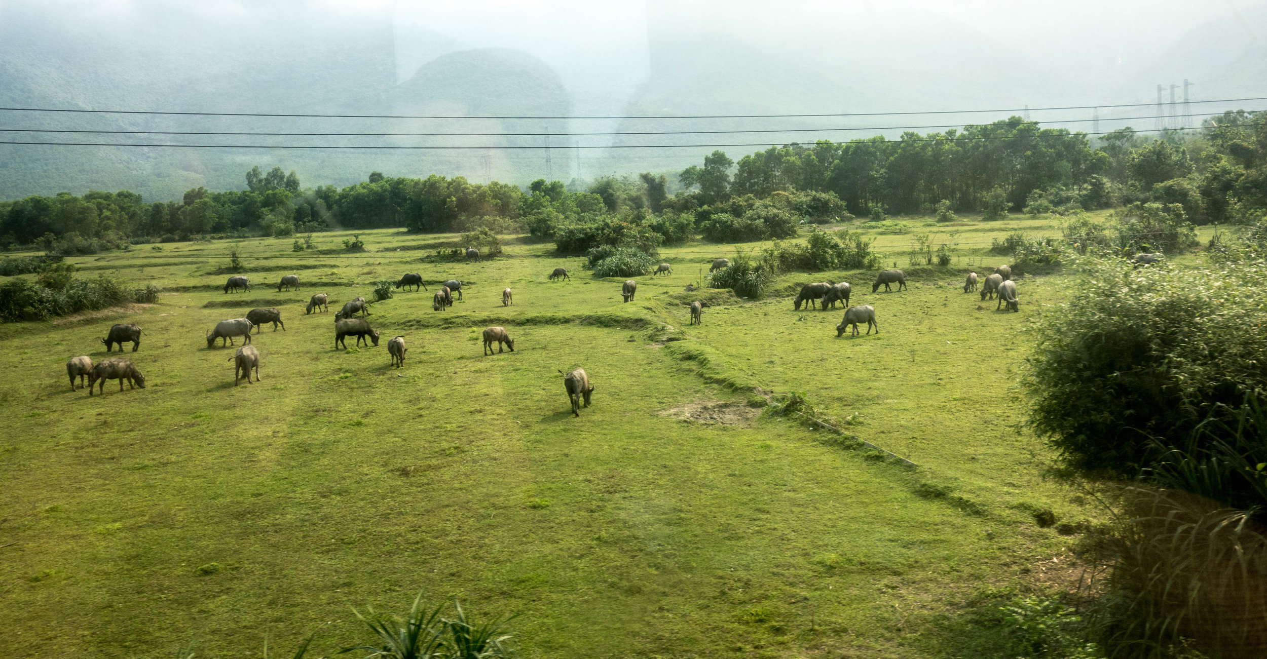 The view from our train over the Hoi Van Pass.