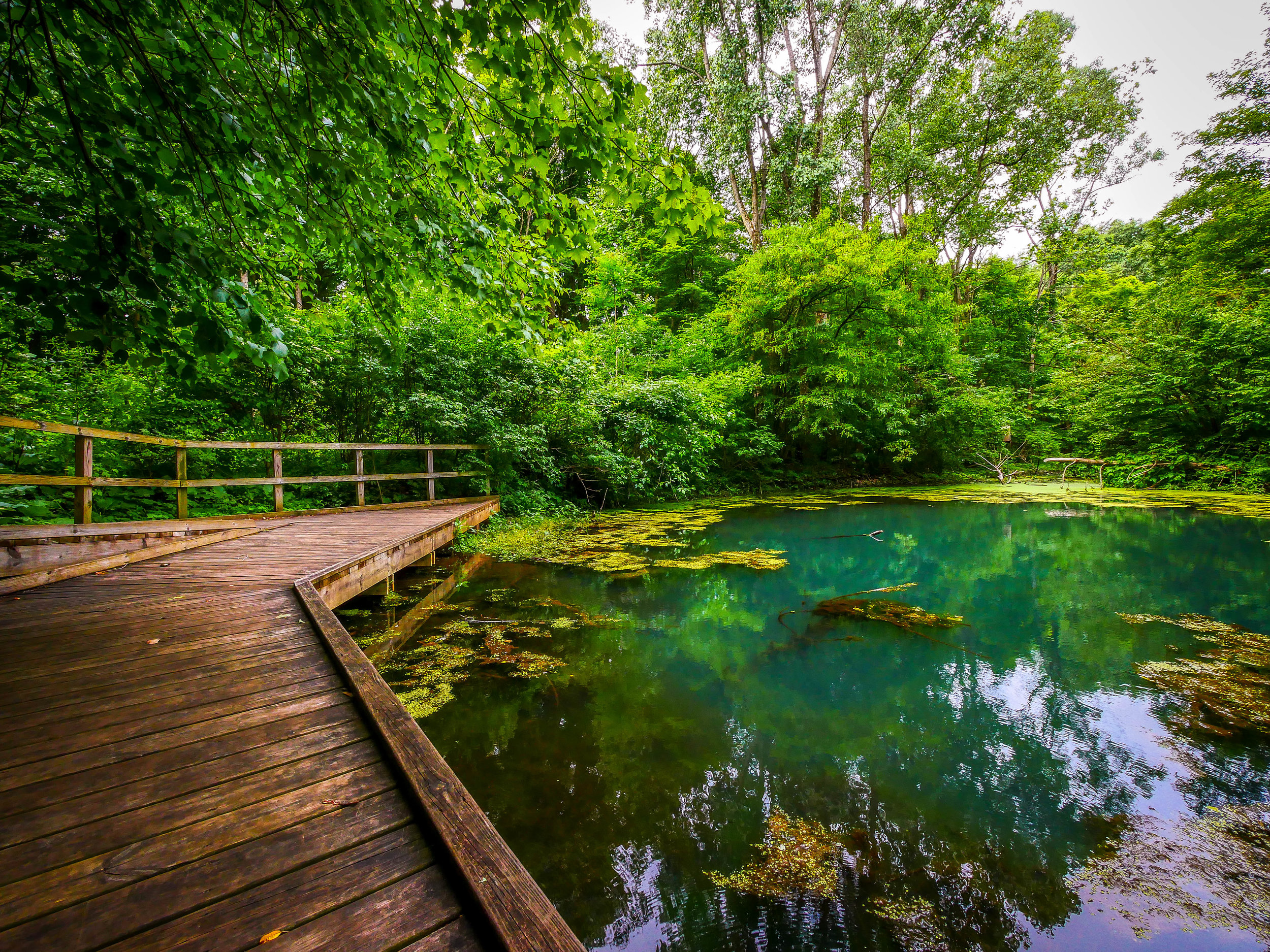 Walk around the lagoon at the Kalamazoo Nature Reserve. Just remember to wear bug spray.