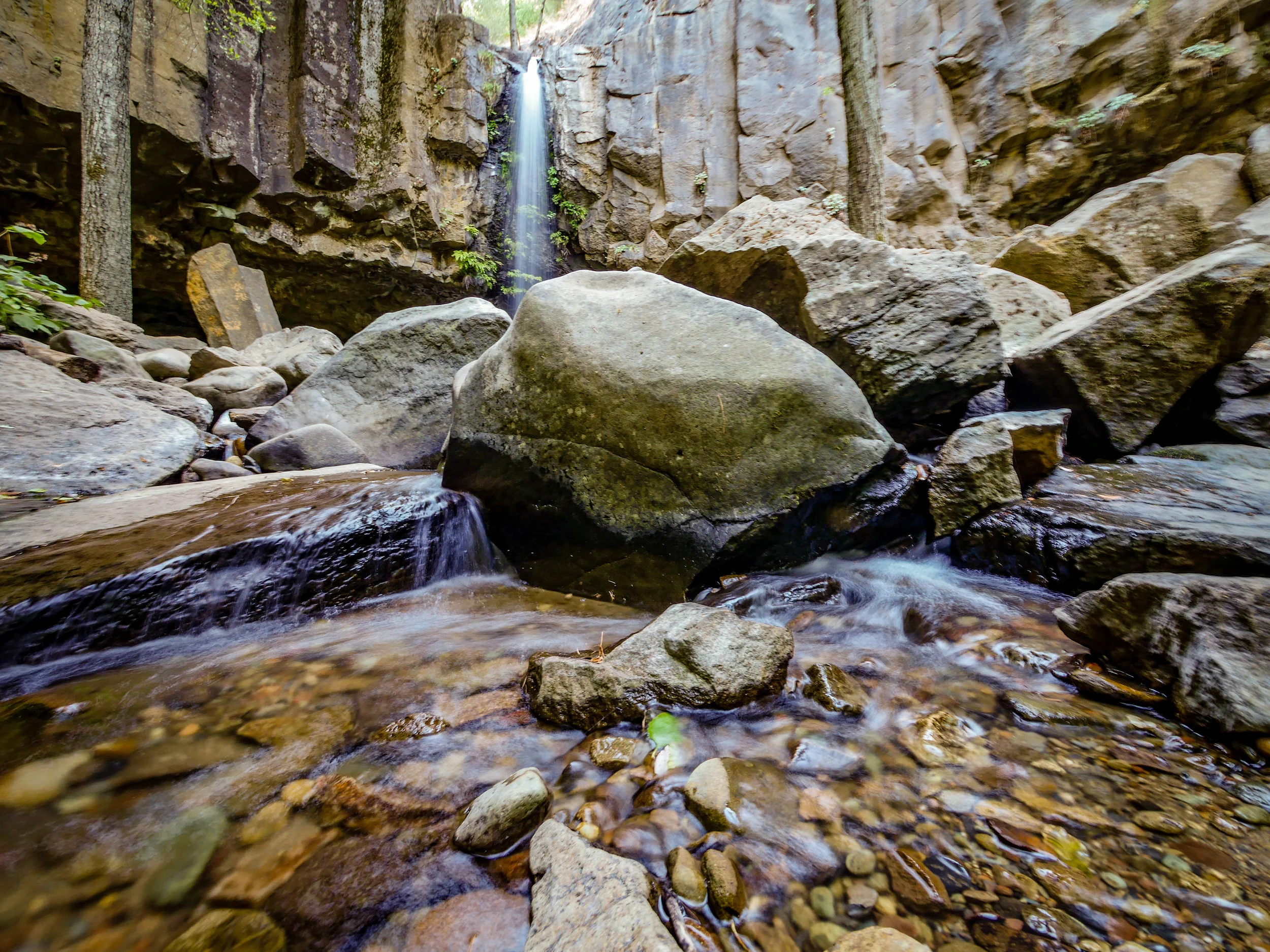 P1080521.jpg