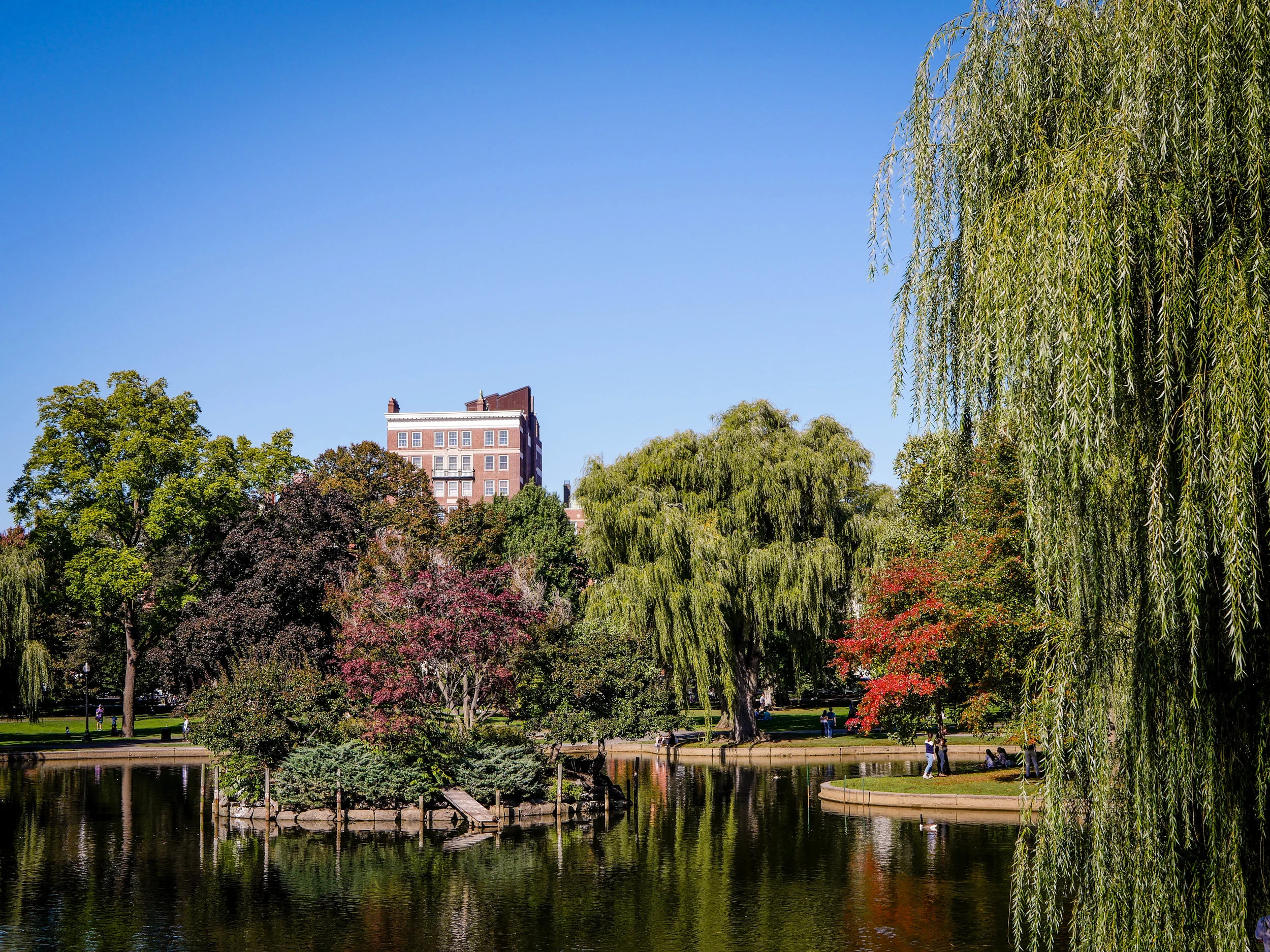 A pond at the Boston Common. 