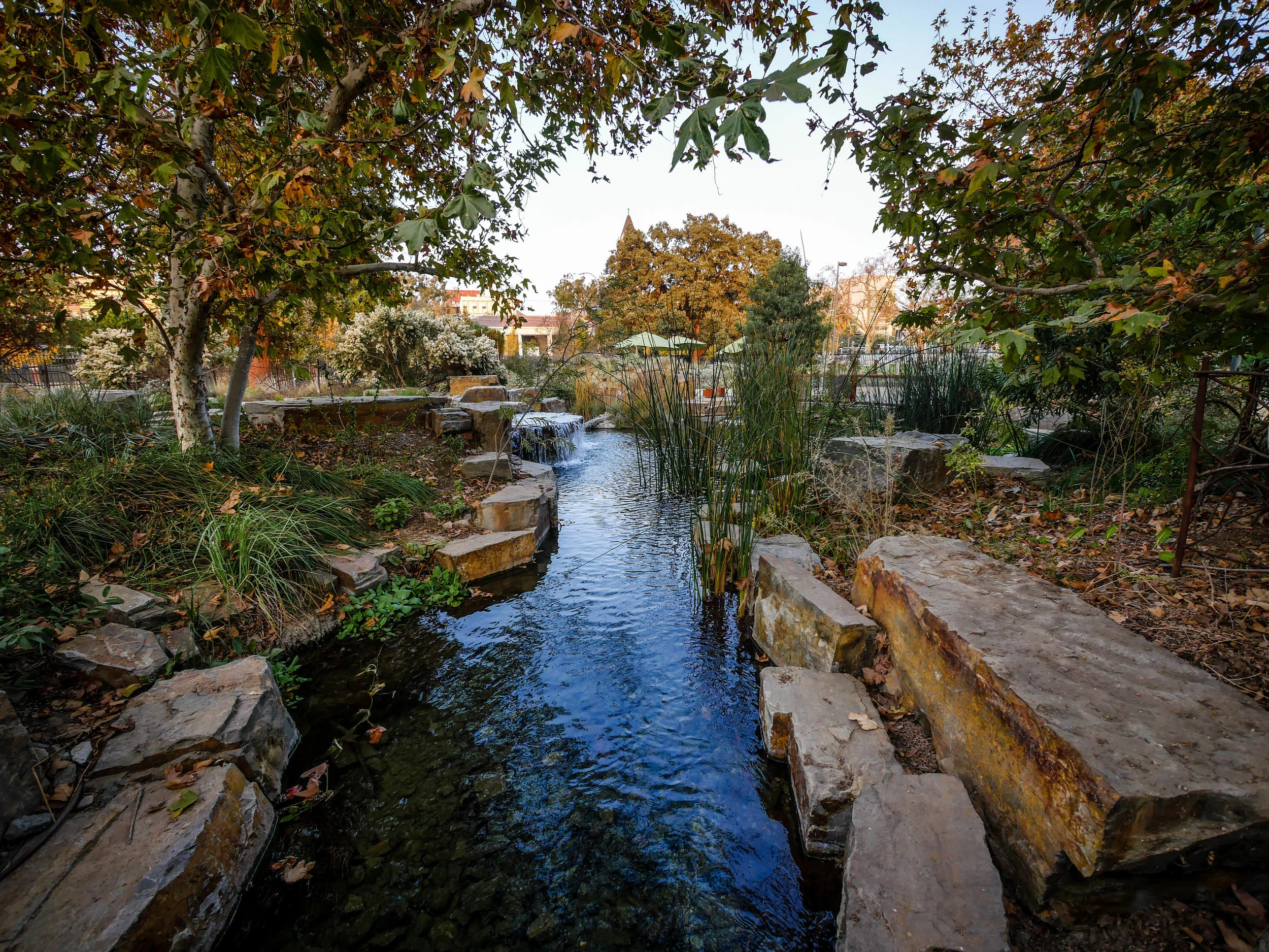 A water feature in the Nature Garden