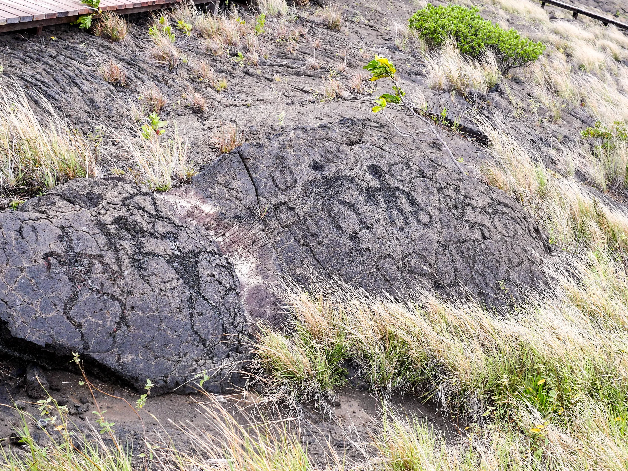 Petroglyphs at Hawaii Volcanoes National Park