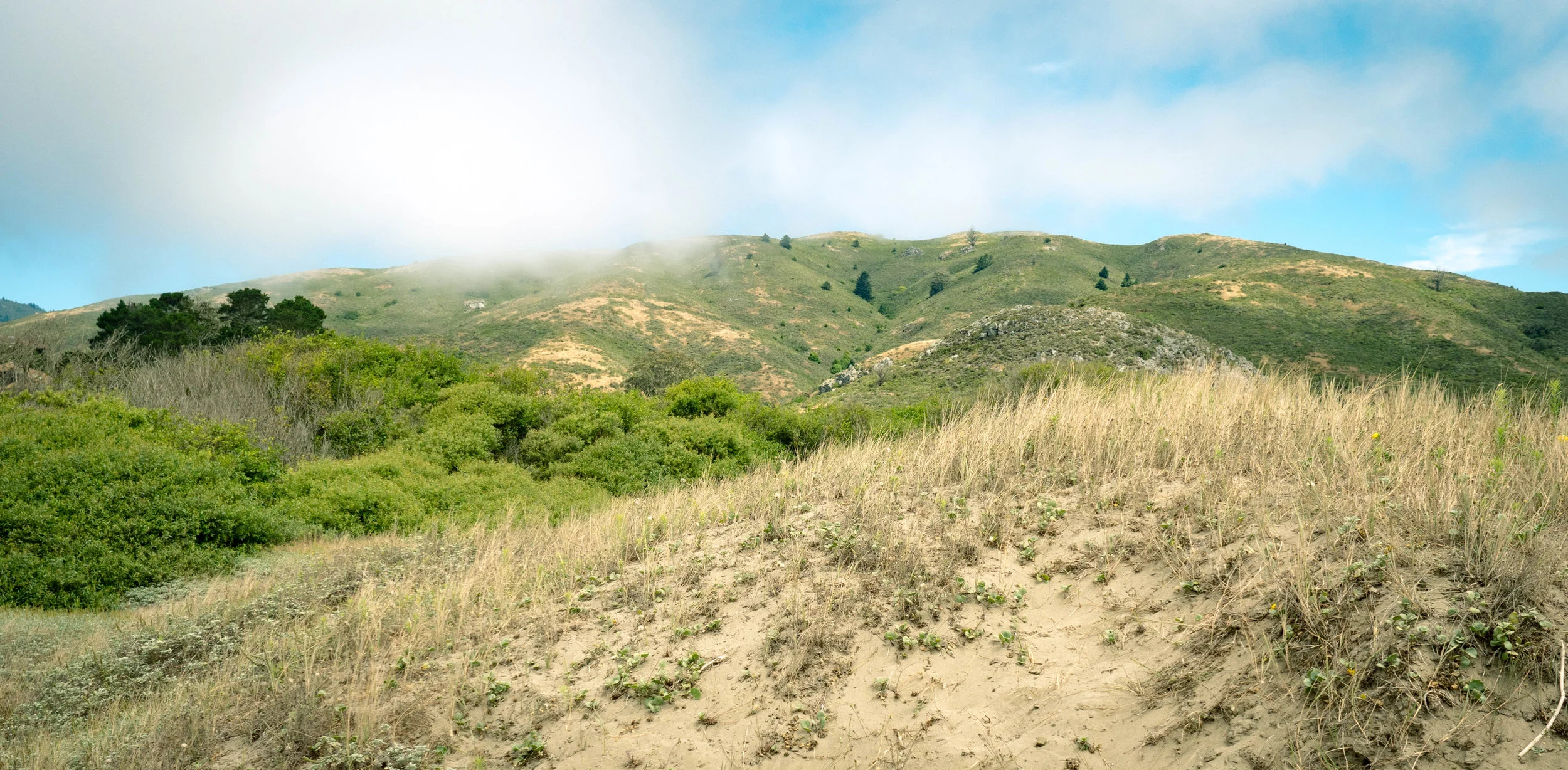 The hills above Muir Beach.