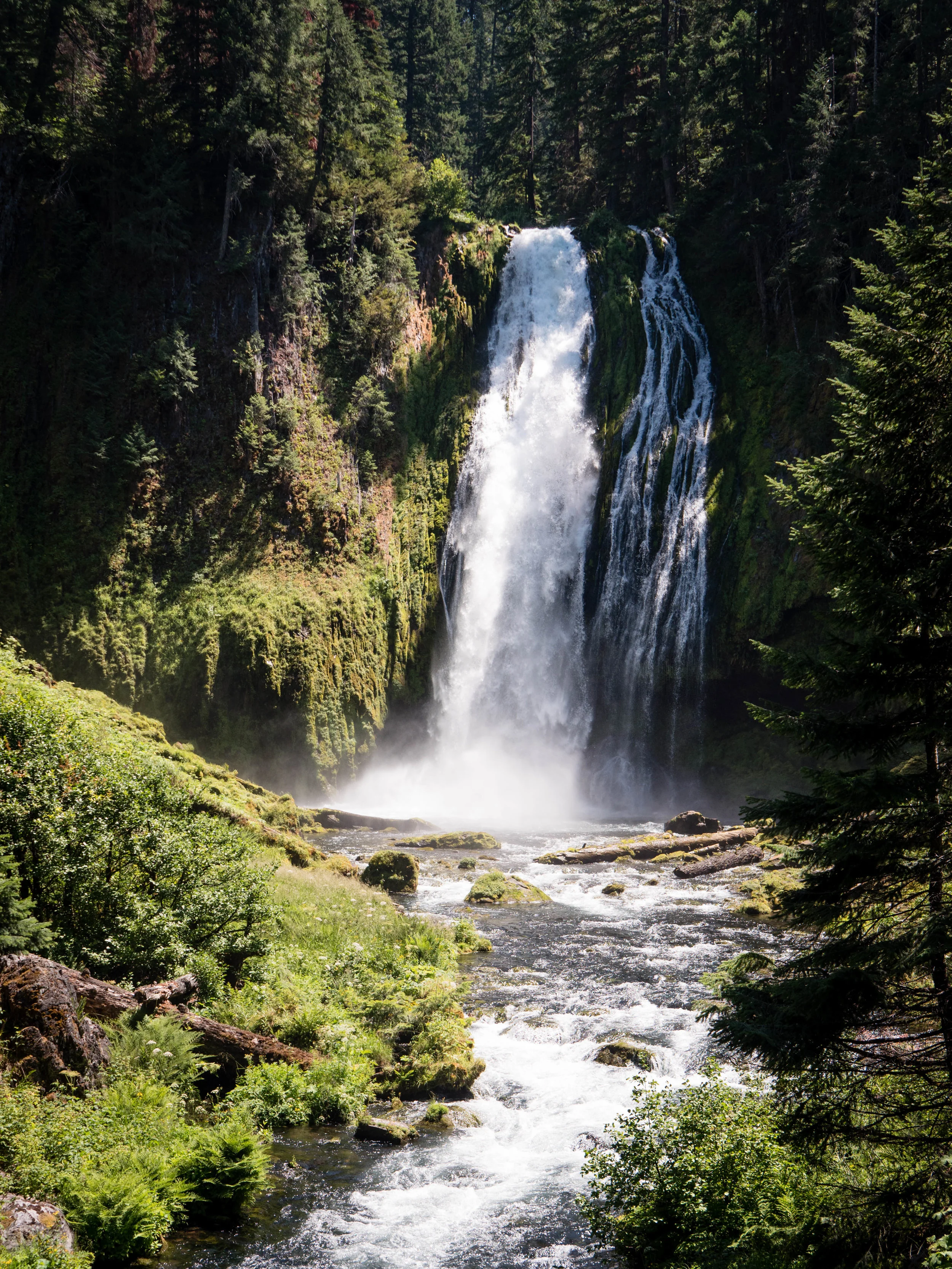 Lemolo Falls is a stunning waterfall in the North Umpqua River Basin. This hike was a total slog back up, but it was worth it.