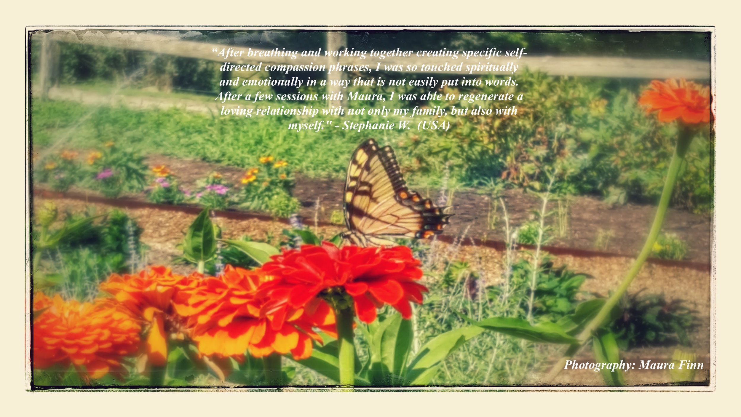 Butterfly Hartwood Gardens Testimonial.jpg