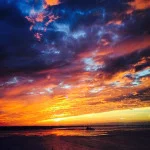 See the Light featuring Patti Drennan