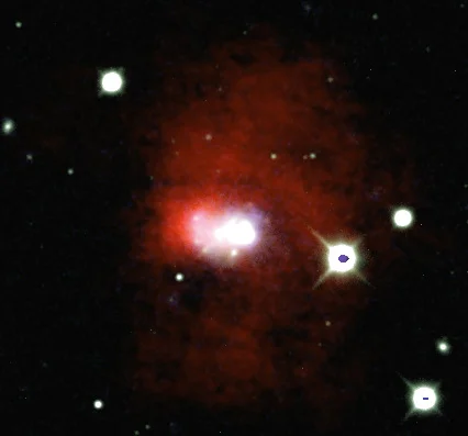 Haro 29. Image credit: LITTLE THINGS