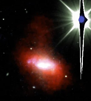 Haro 36. Image credit: LITTLE THINGS