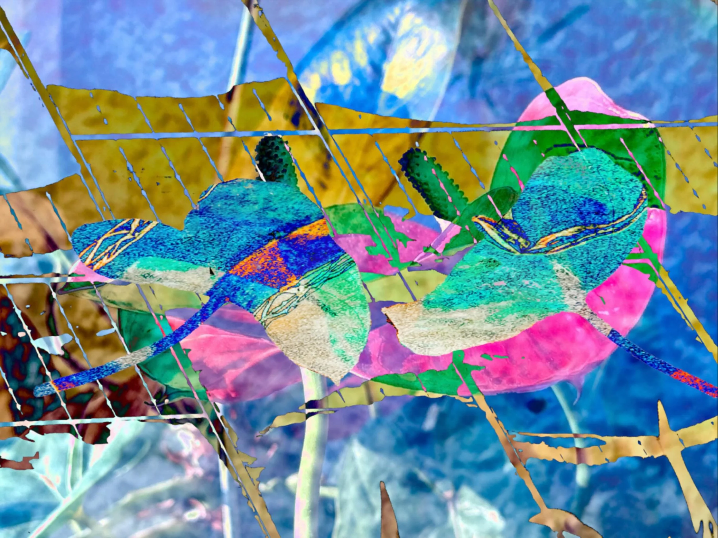 20251124 fg sch so #Unter Solardecke und Schneedecke #fotografik_zaengerlein #Fotomalerei experimentelle Fotografie contemporaryart  digitalart fineartprint Grafikkunst
20251124 fg sch so Under a solar ceiling and snow cover fotografik_zaengerlein ph