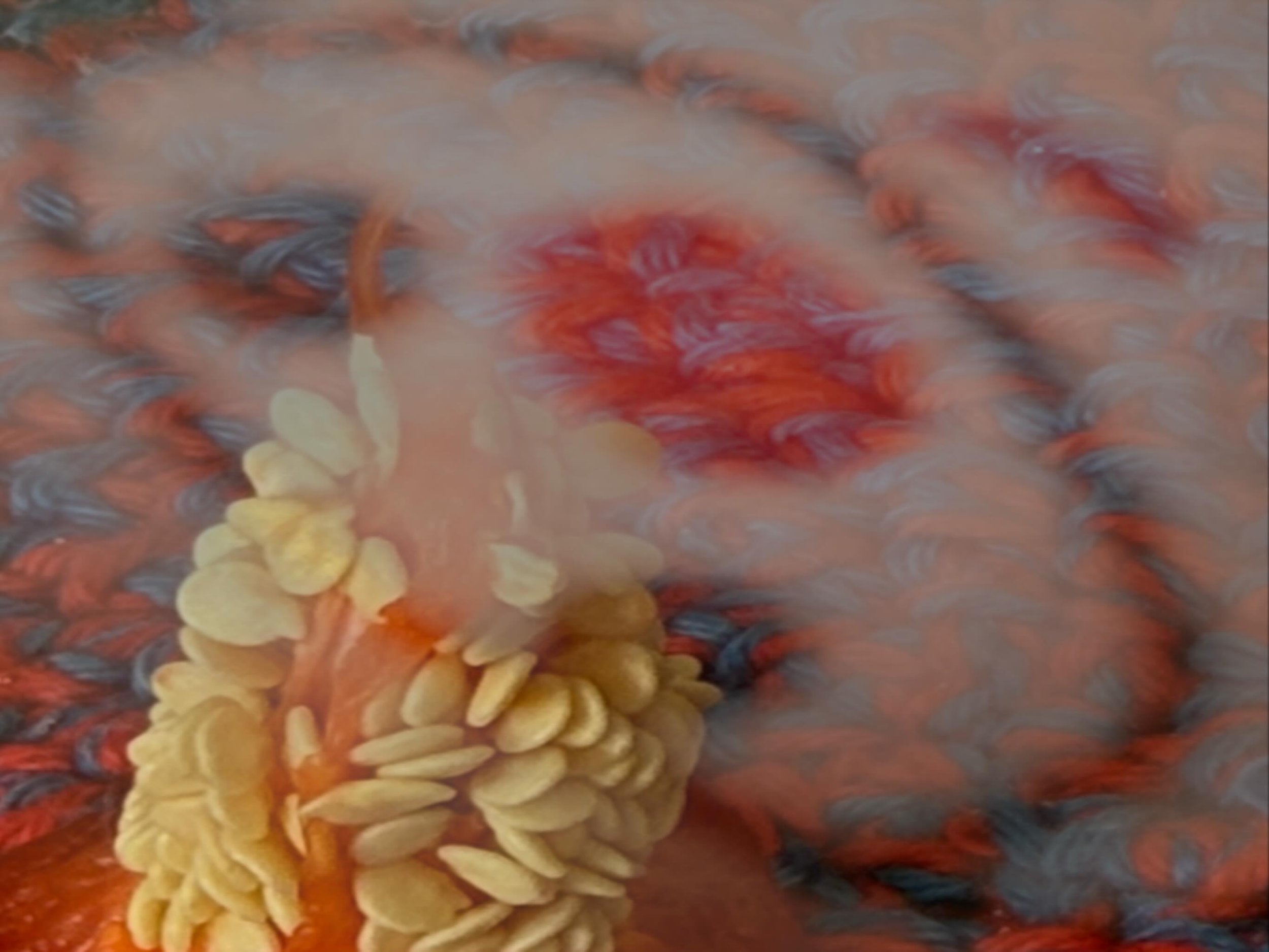 20251205 fg dz we #Dezember25 #Kindertr&auml;ume #fotografik_zaengerlein Grafik des Monats contemporaryart digitalart Grafikkunst fineartprint 
20251205 fg dz in December25 Kindertr&auml;ume fotografik_zaengerlein Graphic of the Month contemporaryart