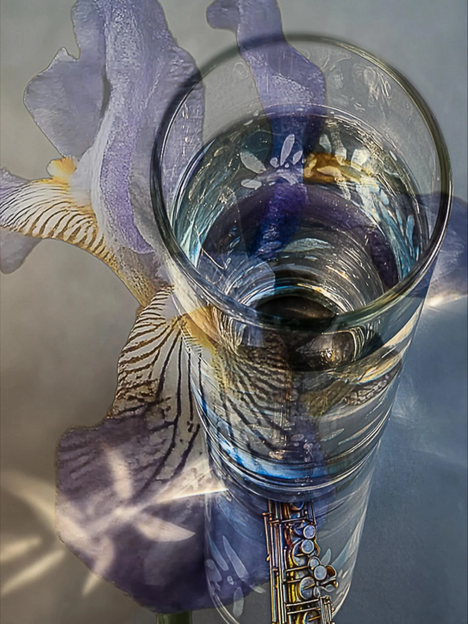 20260113 fg ir li re A glass of water clears and energises the mind after this walk through the blossom park photography_zaengerlein photopainting digital art contemporary art photography graphic art