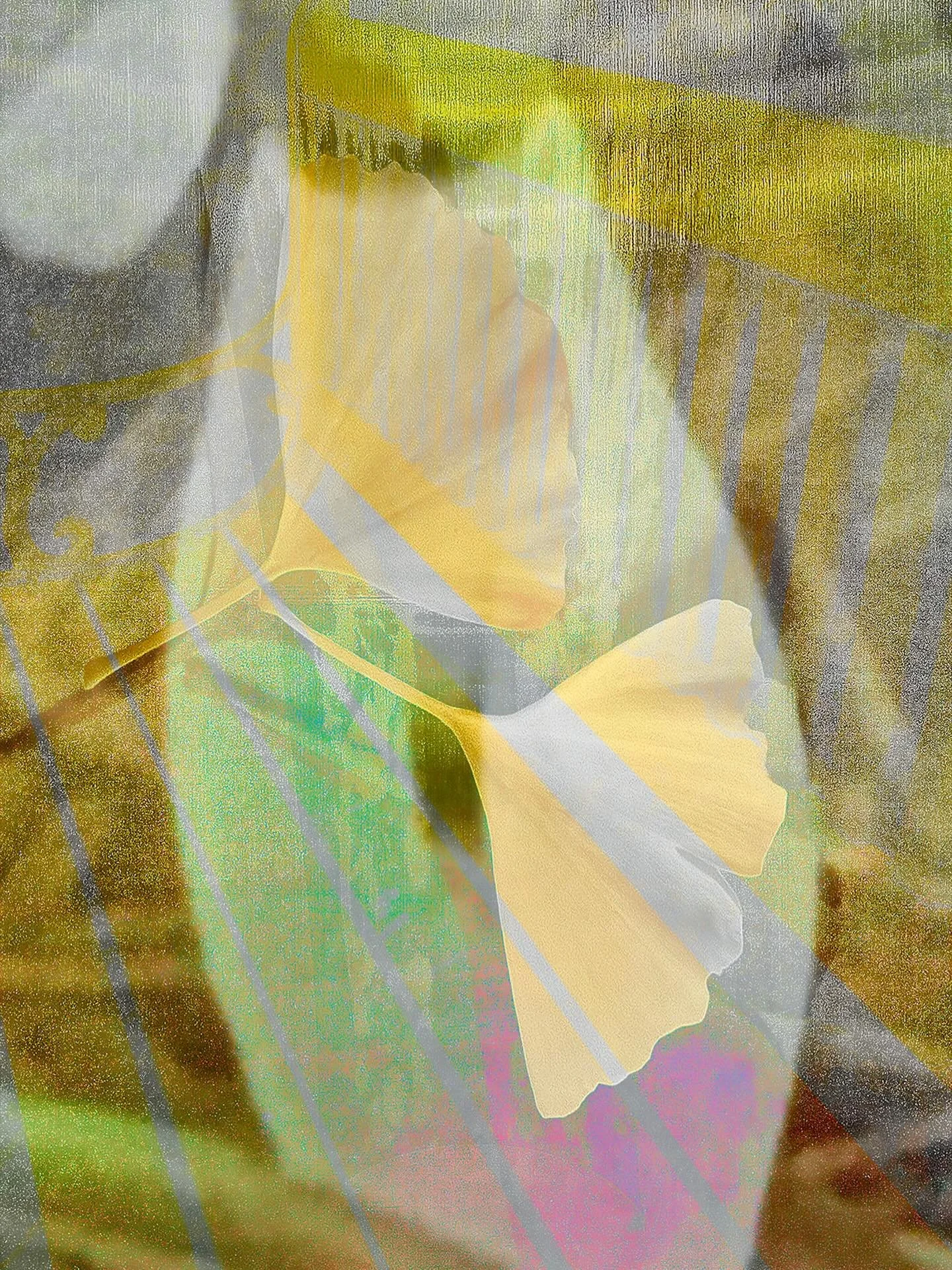 20260302 fgmafogisc #fotografik_zaengerlein #Herbstgold Fr&uuml;hlingswei&szlig; Jahreszeiten Boten die W&auml;rme bringen #digitalart #contemporaryart # photoart 
20260302 fgmafogisc fotografik_zaengerlein AutumnGold SpringWhite Seasons Bringing war
