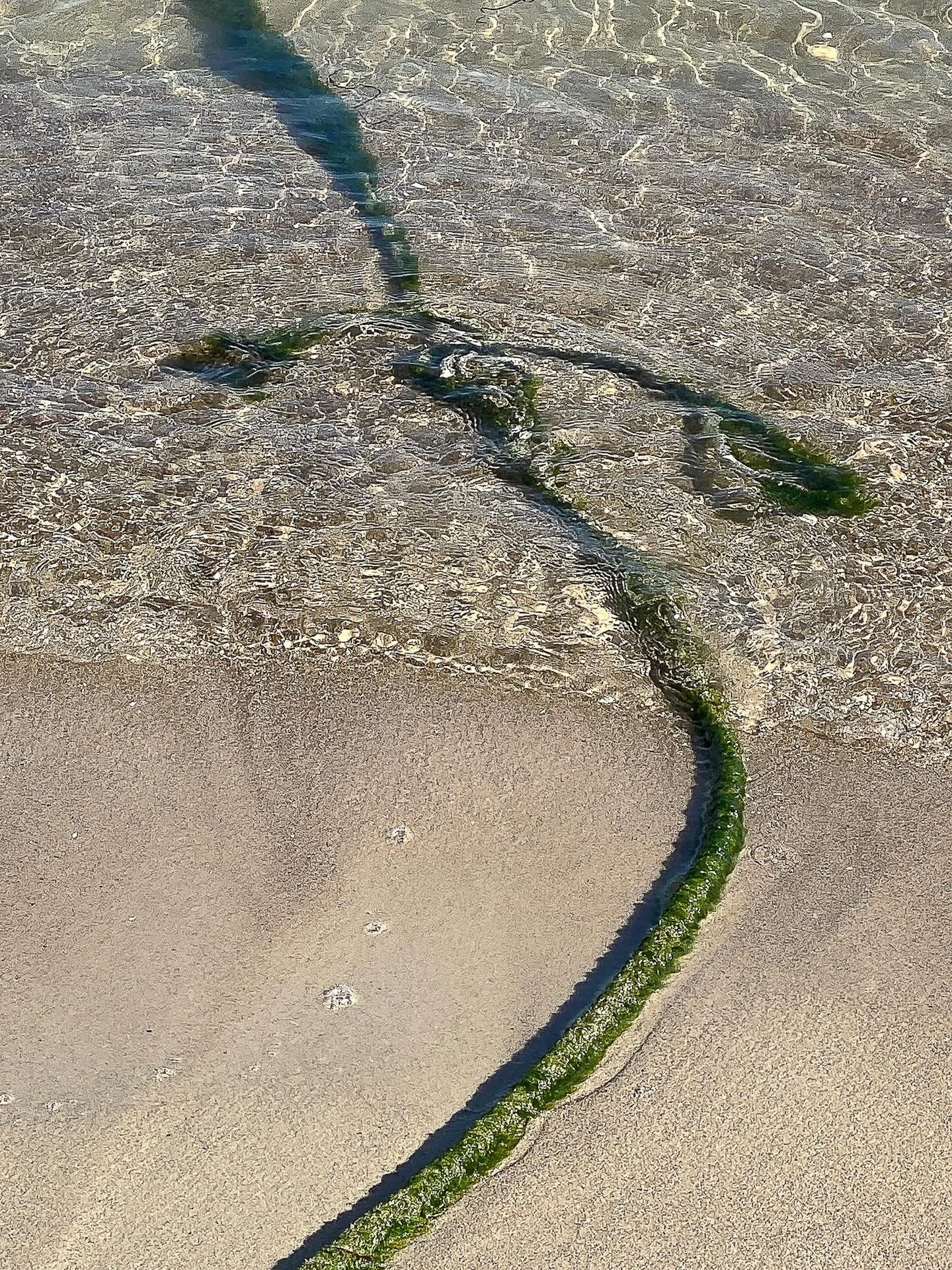 20260308 fostos #fotografik_zaengerlein #BalticSeabeach #Richstructure in the movements of even the smallest waves of the sea water #contemporaryart digitalart photoart fineartprint