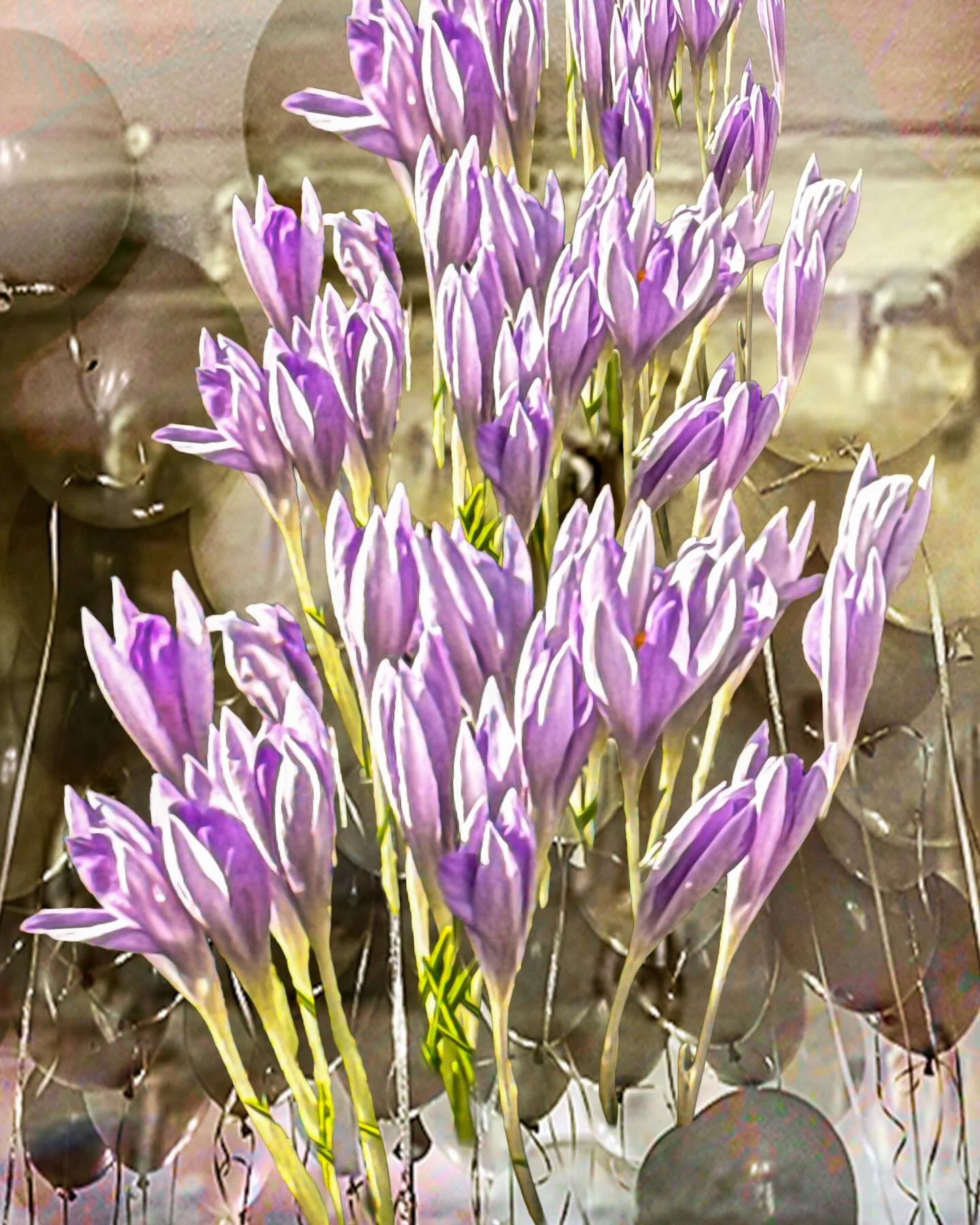 20260309 fgatbl fotografik_zaengerlein #Studio Days Relaxed and laid-back atmosphere #contemporaryart digitalart photoart Printing art at its finest