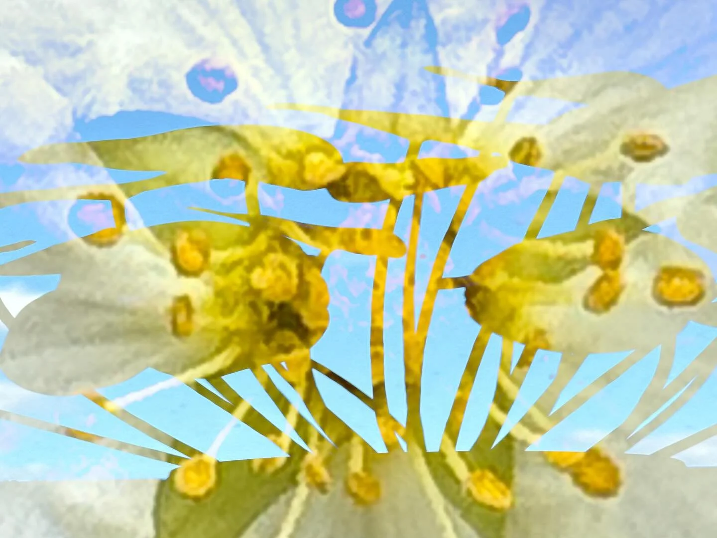 20260314 fgsoat #fotografik_zaengerlein  #Sonne #Photografik contemporaryart digitalart photoart druckkunst vom Feinsten
20260314 fgsoat #fotografik_zaengerlein  #Sun Photografik contemporary art digital art photo art print art at its finest