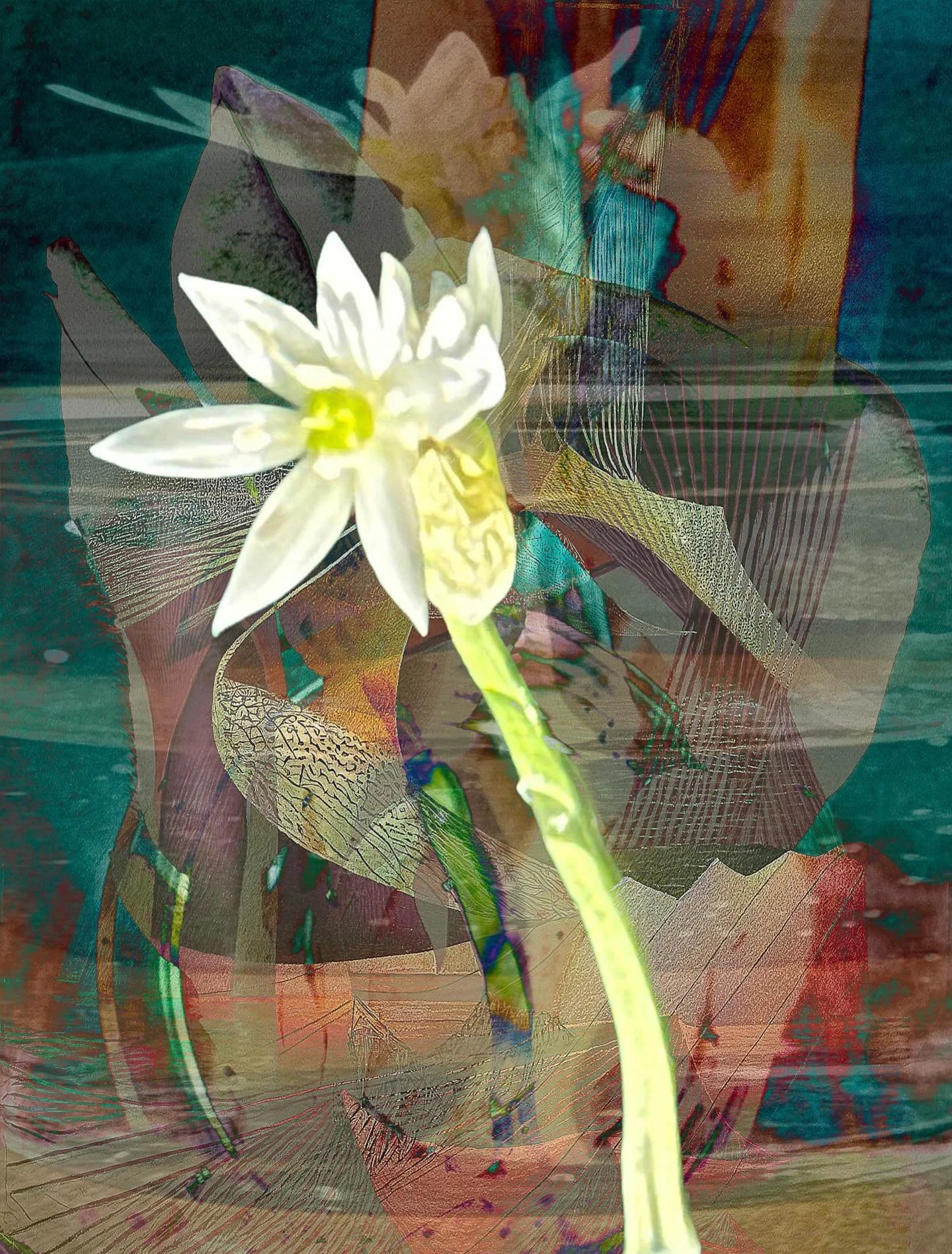 20260416 fgwpbrwako  #fotografik_zaengerlein #in der Str&ouml;mung Fest der Korallen #digitalart contemporaryart photoart Druckkunst 
20260416 fgwpbrwako  #fotografik_zaengerlein #in the current: Festival of the Corals digitalart contemporaryart phot