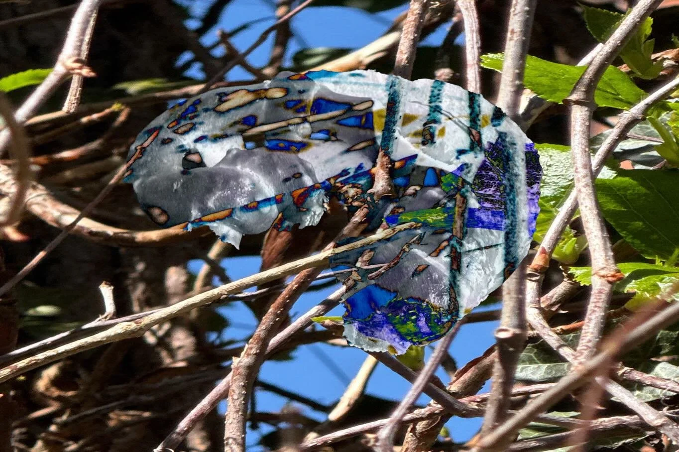 20260423 fgbrhe 1 und 2 #fotografik_zaengerlein #der Blick durch die Hecke ins Blau des Himmels das sich auf einem T&uuml;mpel einem Gew&auml;sser spiegelt #digitalart contemporaryart photoart Druckkunst vom Feinsten 
20260423 fgbrhe 1 and 2 #fotogra