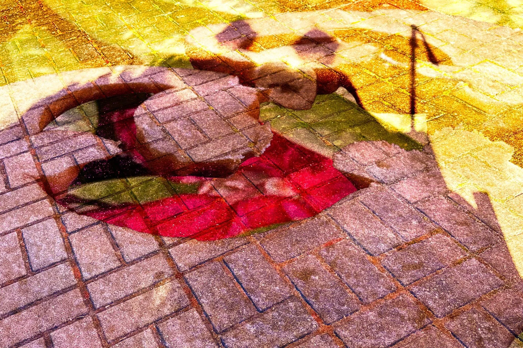 20260425 fgpfscfa #fotografik_zaengerlein #Pflastermalerei #Landschaftsmalerei in dieser Fotografik sind die Farben der unmittelbaren Umgebung des Hinterhofes #digitalart Zeitgen&ouml;ssischekunst Fotokunst Digitaldruck vom Feinsten
20260425 fgpfscfa