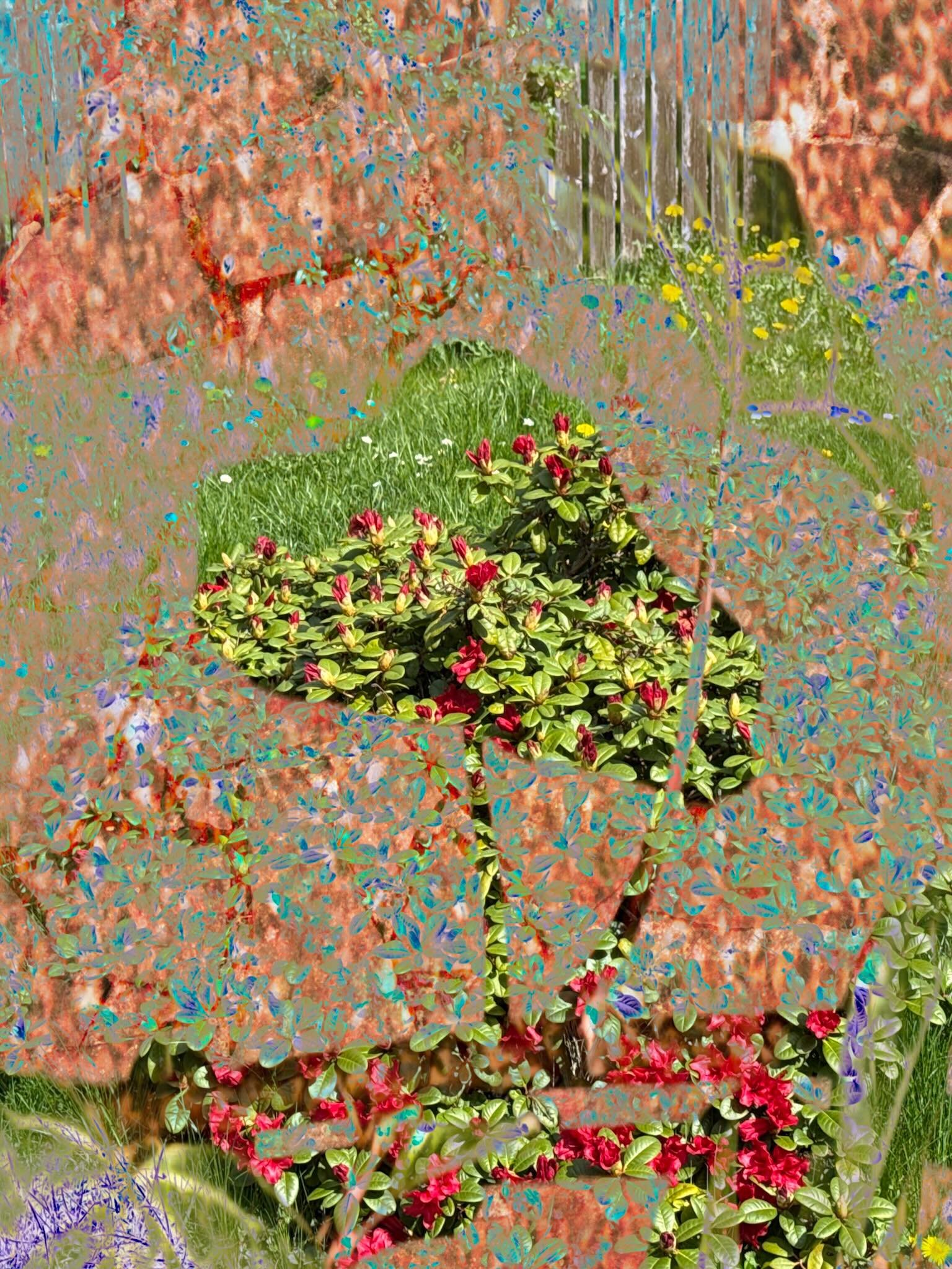 20260425 fgpfscfa #fotografik_zaengerlein #Sonnenschein und Farbenvielfalt haben im Kleinen Garten haben heute als Anregung f&uuml;r Fotos sich in den Fokus gedr&auml;ngelt  #digitalart Zeitgen&ouml;ssischekunst Fotokunst Digitaldruck vom Feinsten
20