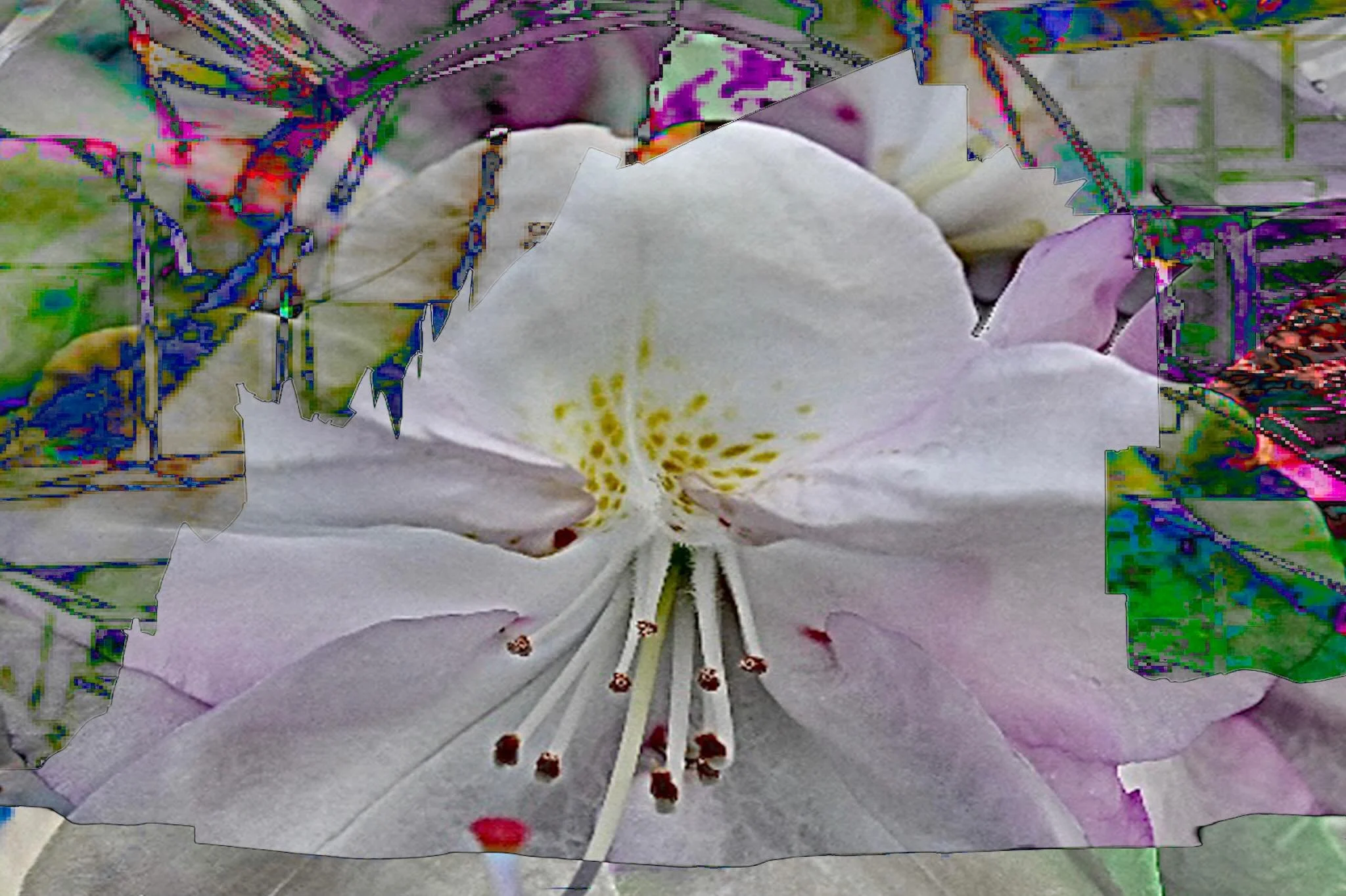 20260429 fgwprhgrbe #fotografik_zaengerlein #Weg grenzenlos annehmen wegweisend #diggitalart photoart  Zeitgen&ouml;ssische Kunst digitale Druckkunst
20260429 fgwprhgrbe #fotografik_zaengerlein #Embracing the boundless path, leading the way digitalar