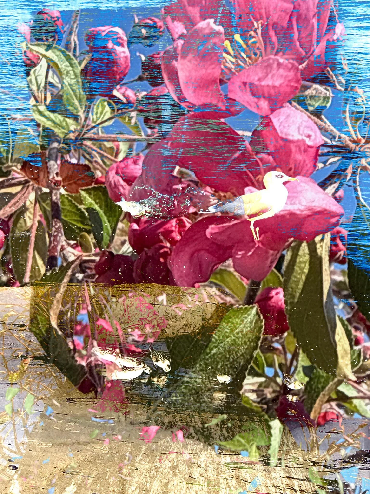 20260430 fgwpstm&ouml; #fotografik_zaengerlein #Bl&uuml;ten des Tages in ihrem Farbkleid #digitalart photoart  Zeitgen&ouml;ssische Kunst digitale Druckkunst
20260430 fgwpstm&ouml; #fotografik_zaengerlein #Flowers of the Day in their colourful finery