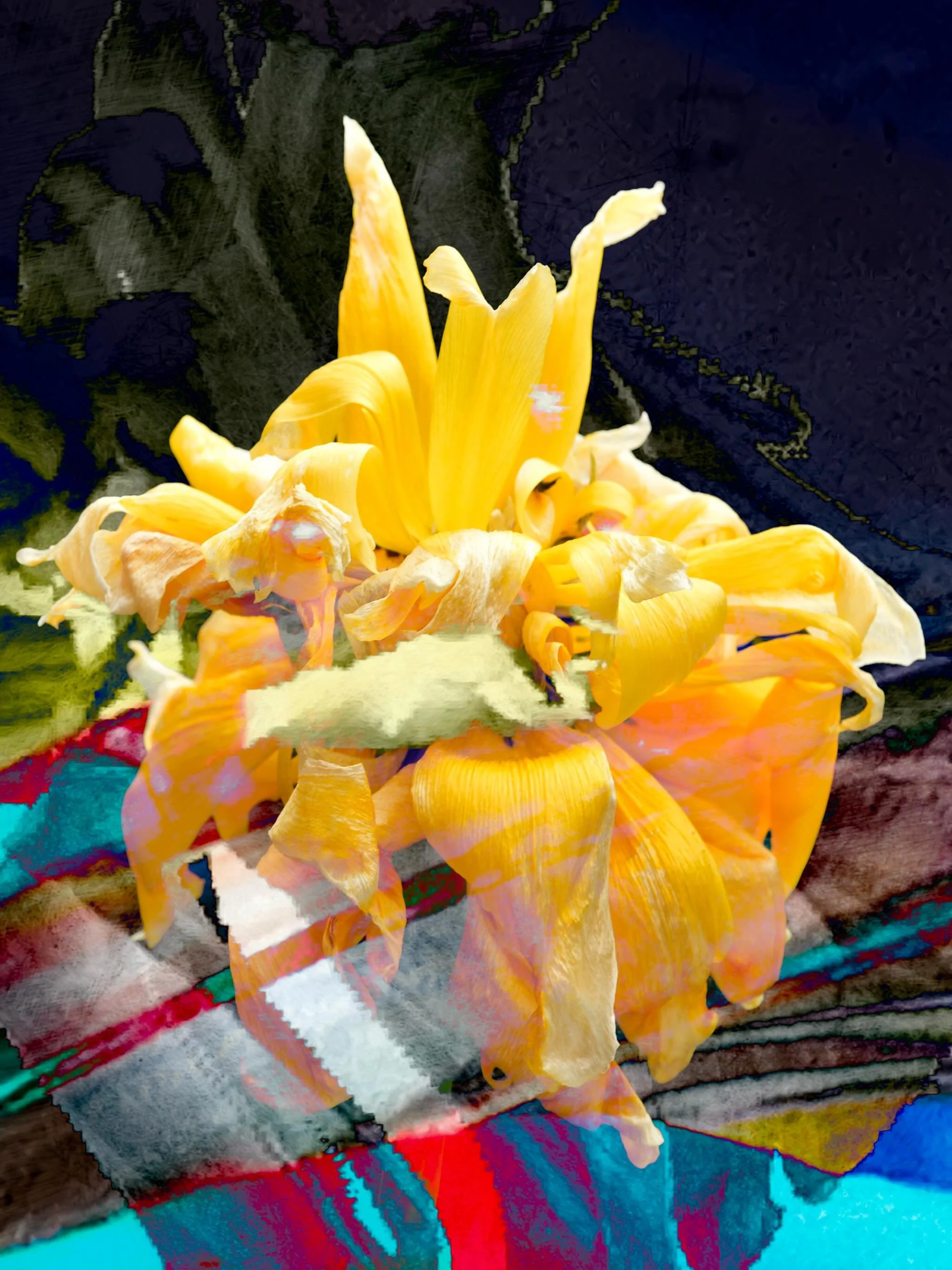 20260513 fgkatu #fotografik_zaengerlein #Wasserbad f&uuml;r des Tages Gelbe Tulpe Sch&ouml;nheit umgeben von den D&uuml;ften der Farben und den w&auml;rmenden Sonnenstrahlen # digitalart contemporaryart photoart fineartprint 
20260513 fgkatu #fotogra