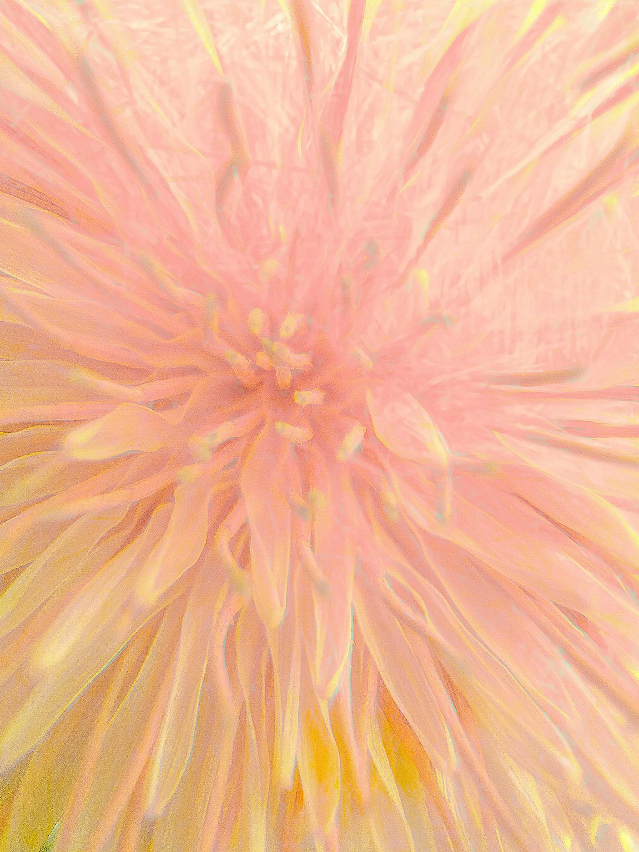 20260519 fgsogll&ouml; #fotografik_zaengerlein #Gl&uuml;cksgef&uuml;hle bei Sonnenschein haben den L&ouml;wenzahn gez&auml;hmt #digitalart contemporaryart photoart fineartprint 
20260519 fgsogll&ouml; #fotografik_zaengerlein #Feelings of happiness in