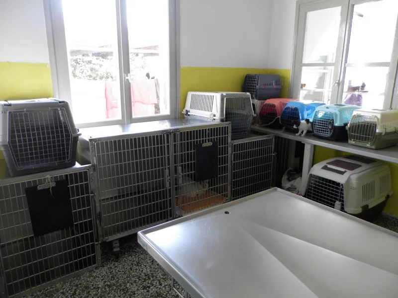 The examination room is ready!