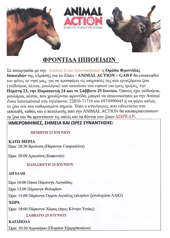 animal-action-in-amorgos-2016.jpg