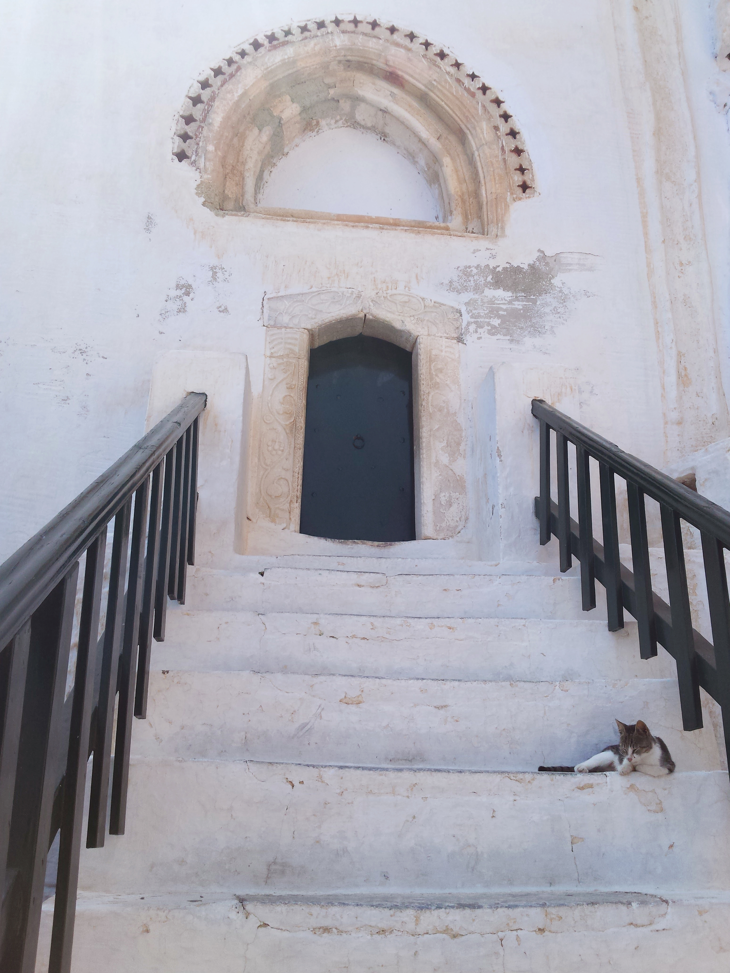 Cat in on Stairs Amorgos