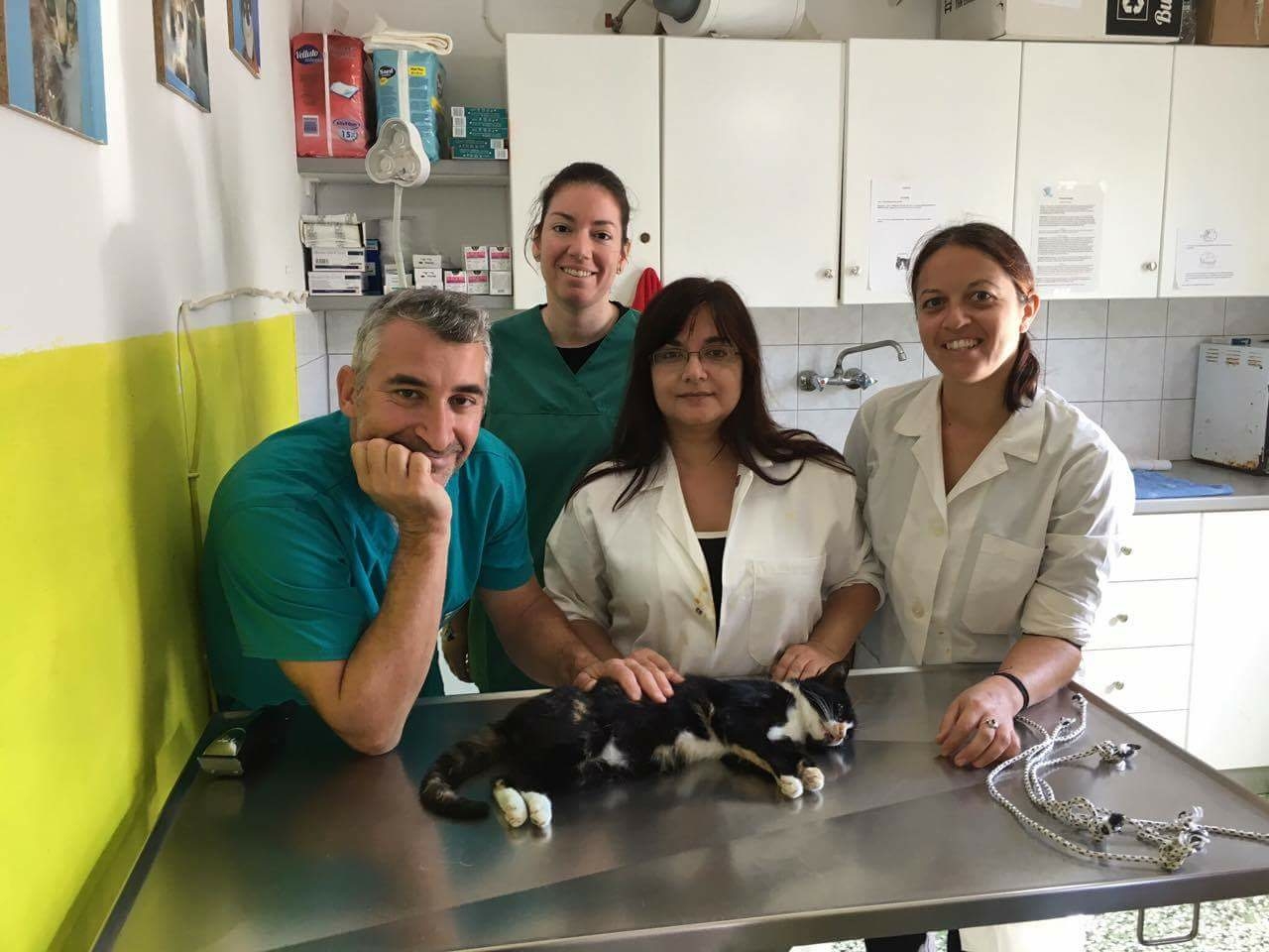   Dr. Manolis Vorisis, Dr. Andrianna Papadimitropoulou, our volunteer, Hariklia Psaki, who helped in the surgeries and in the preparation for the neutering and Litsa Passari, our coordinator  