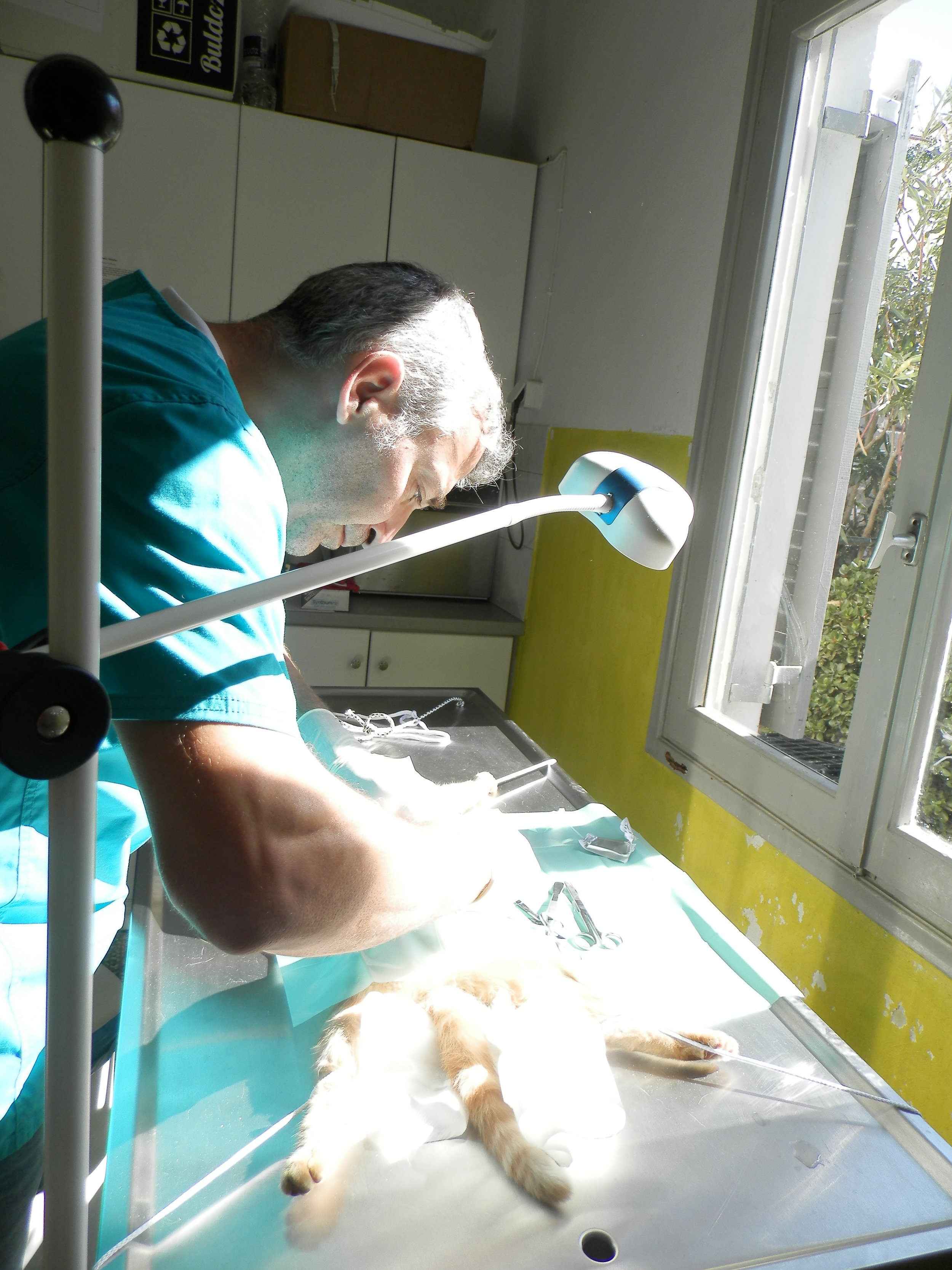   Dr. Manolis Vorisis during the work.  