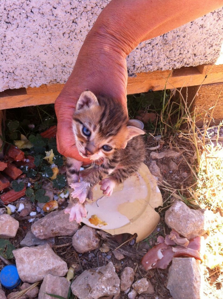  Abandoned by her mom in Koufonisi, where she was found 