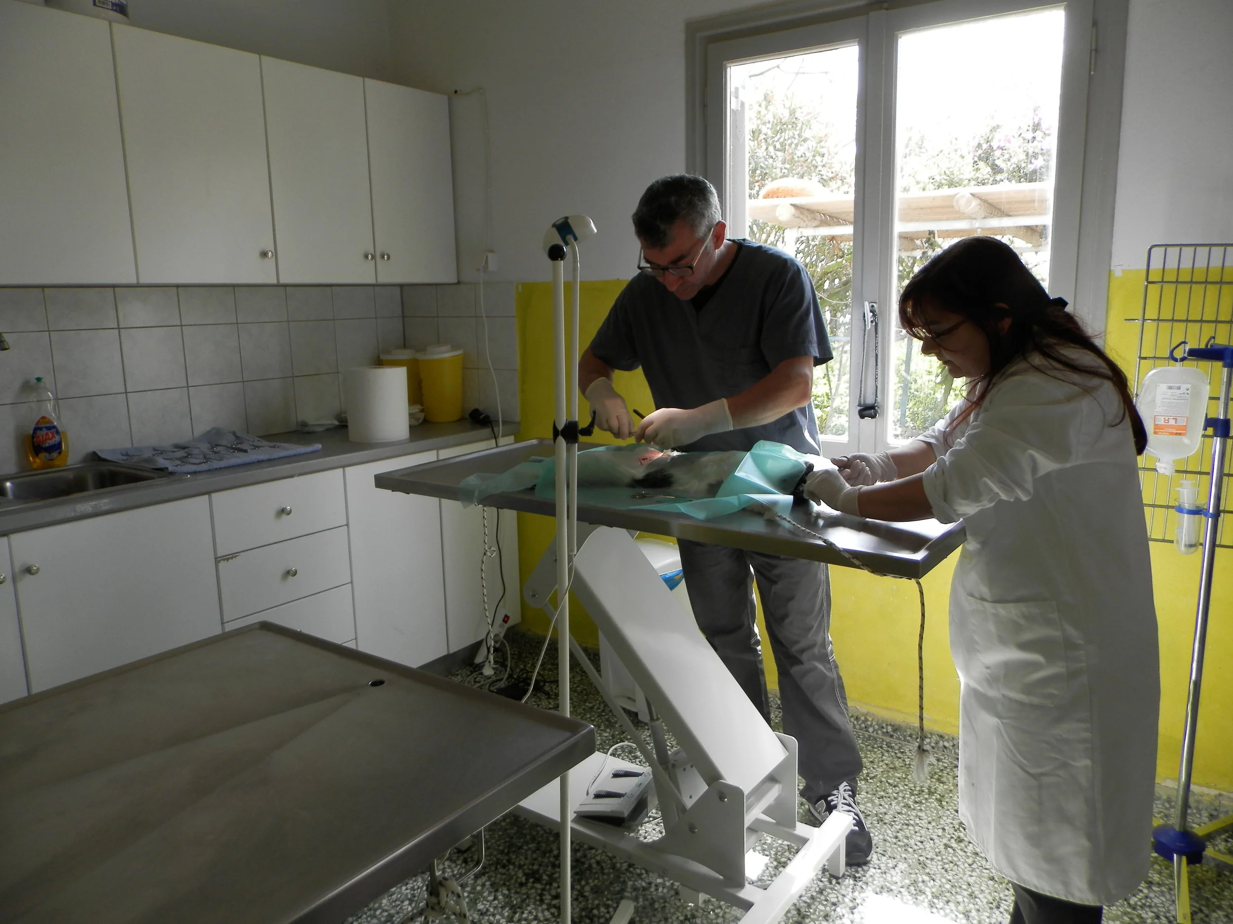 Sterilization program