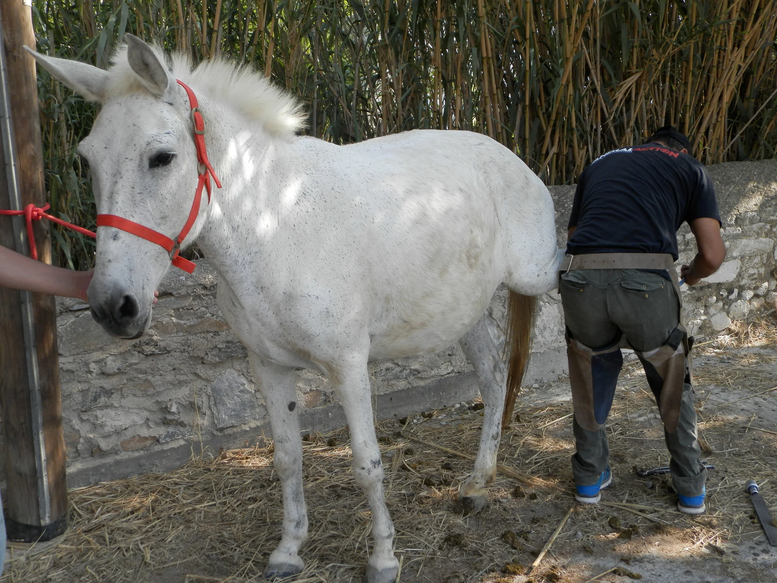 Meropi