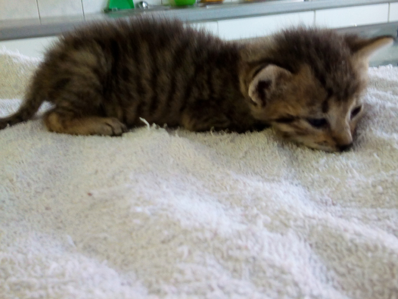 Zizi’s brother arrives at the Center
