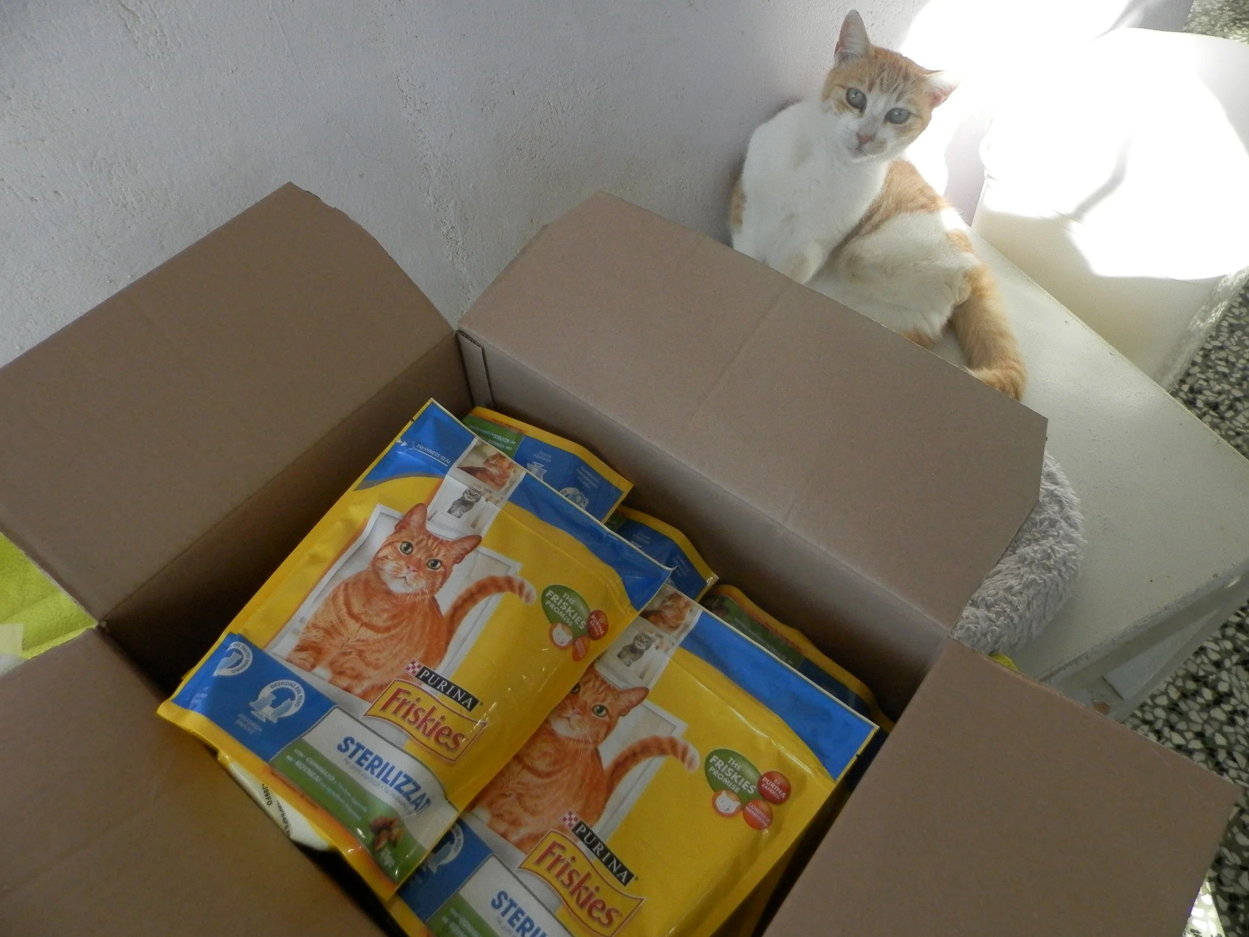 Donation from Purina Petcare