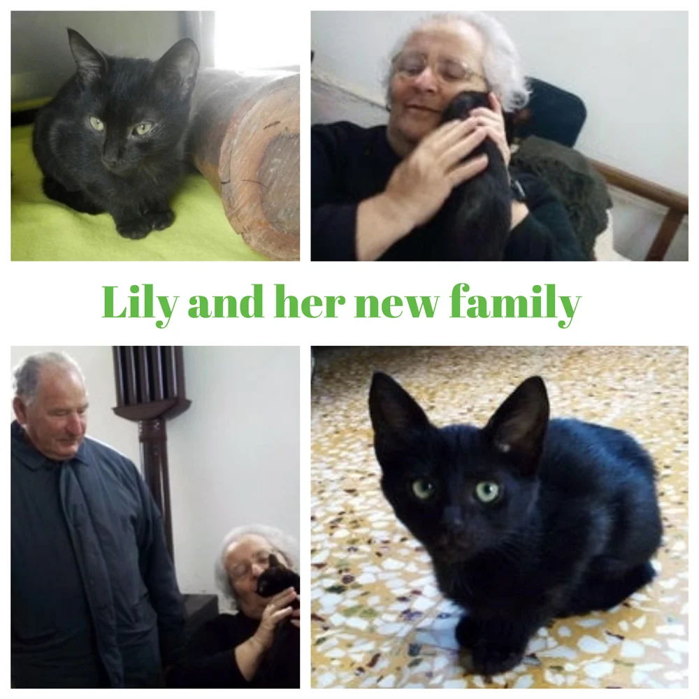 lily-family.jpg