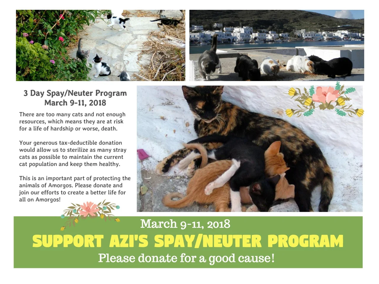 SpayNeuter-collage.jpg