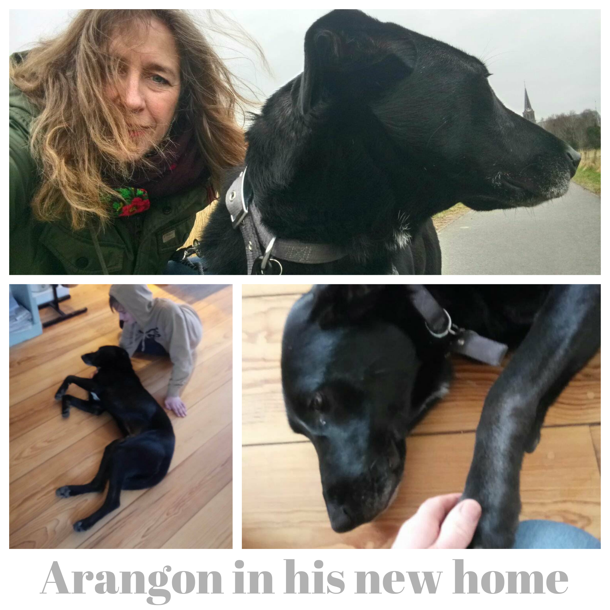 Arangon new home.jpg