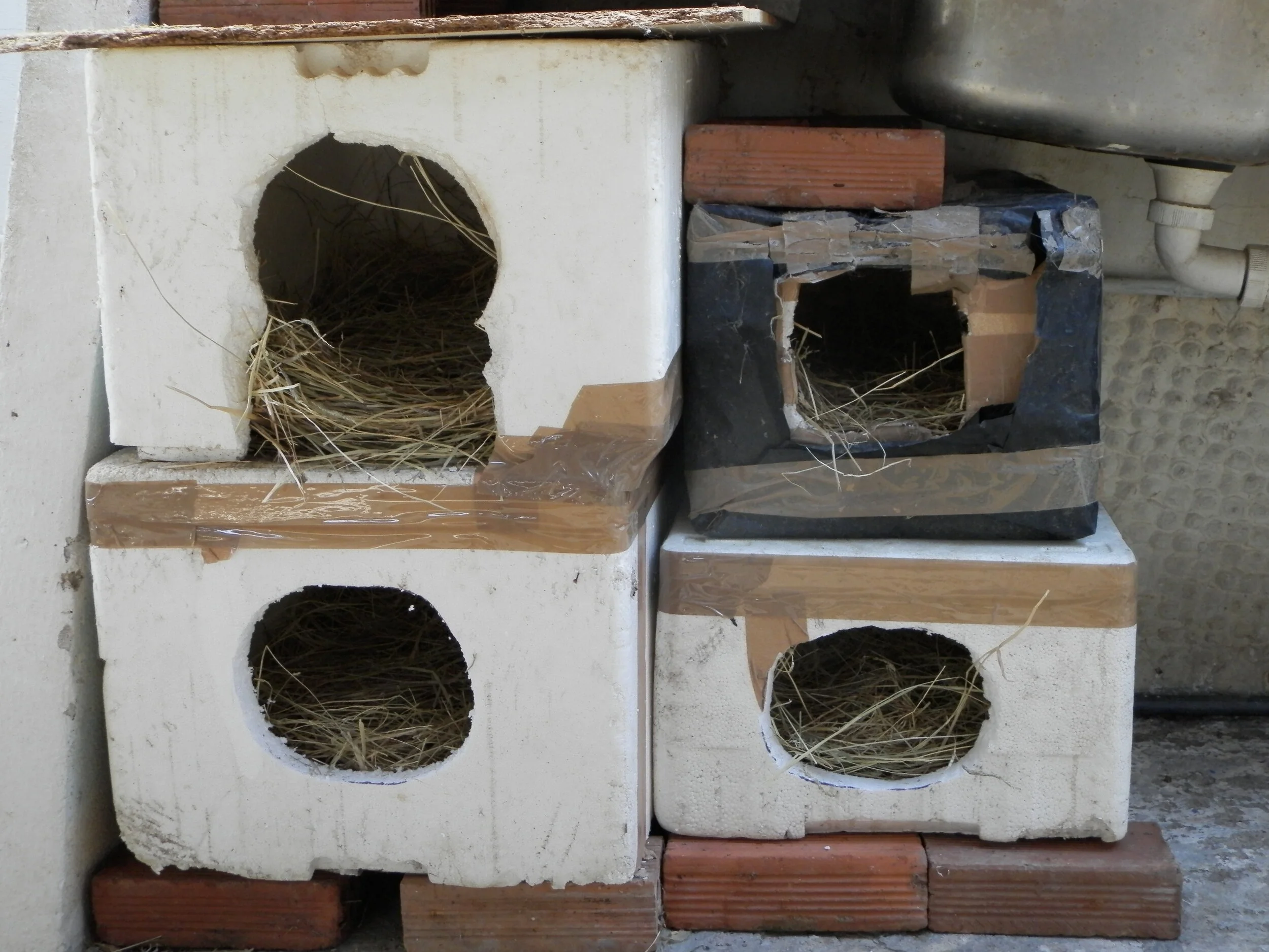 Preparations for winter