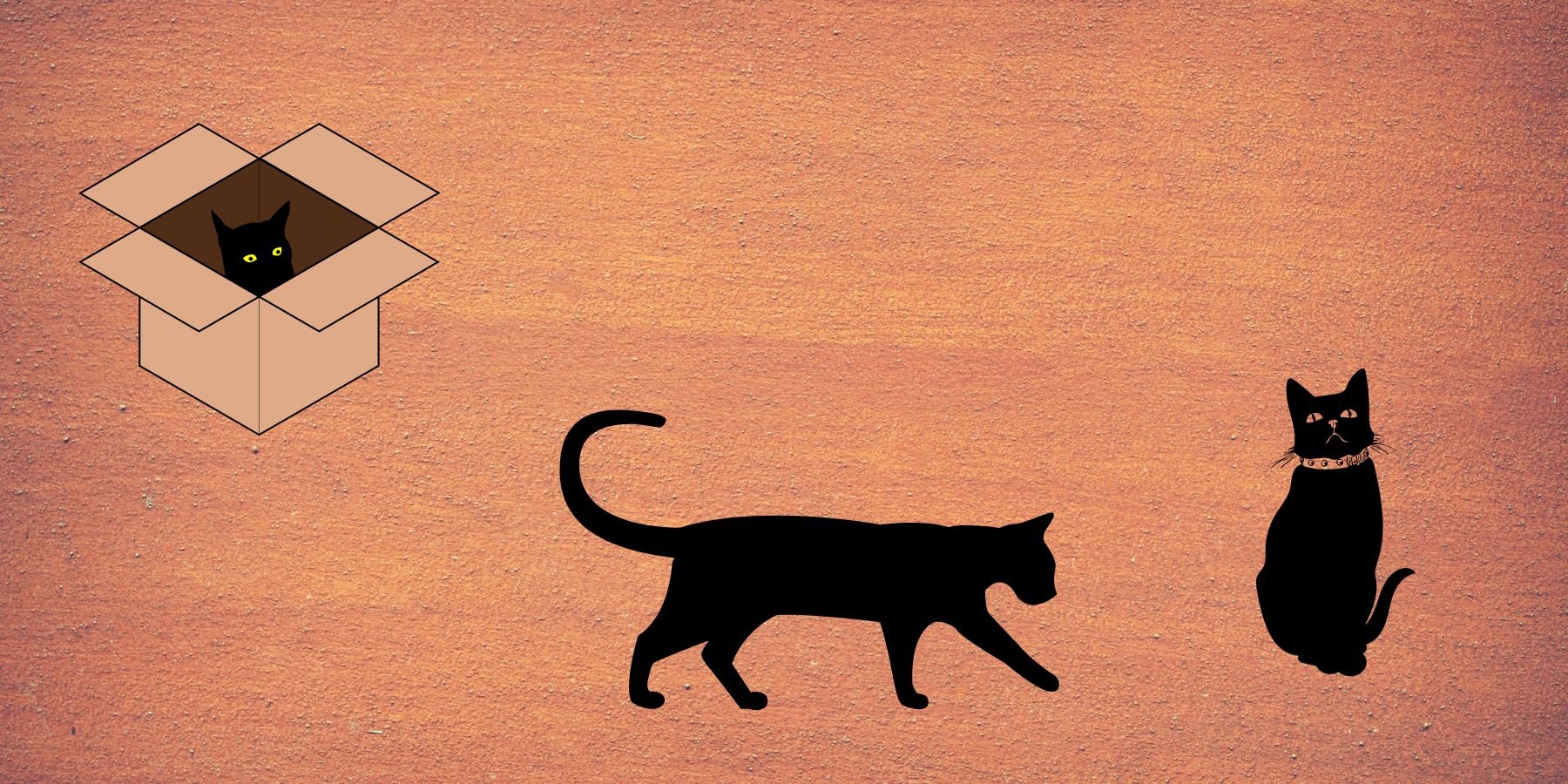 Sterilization Program for Stray Cats