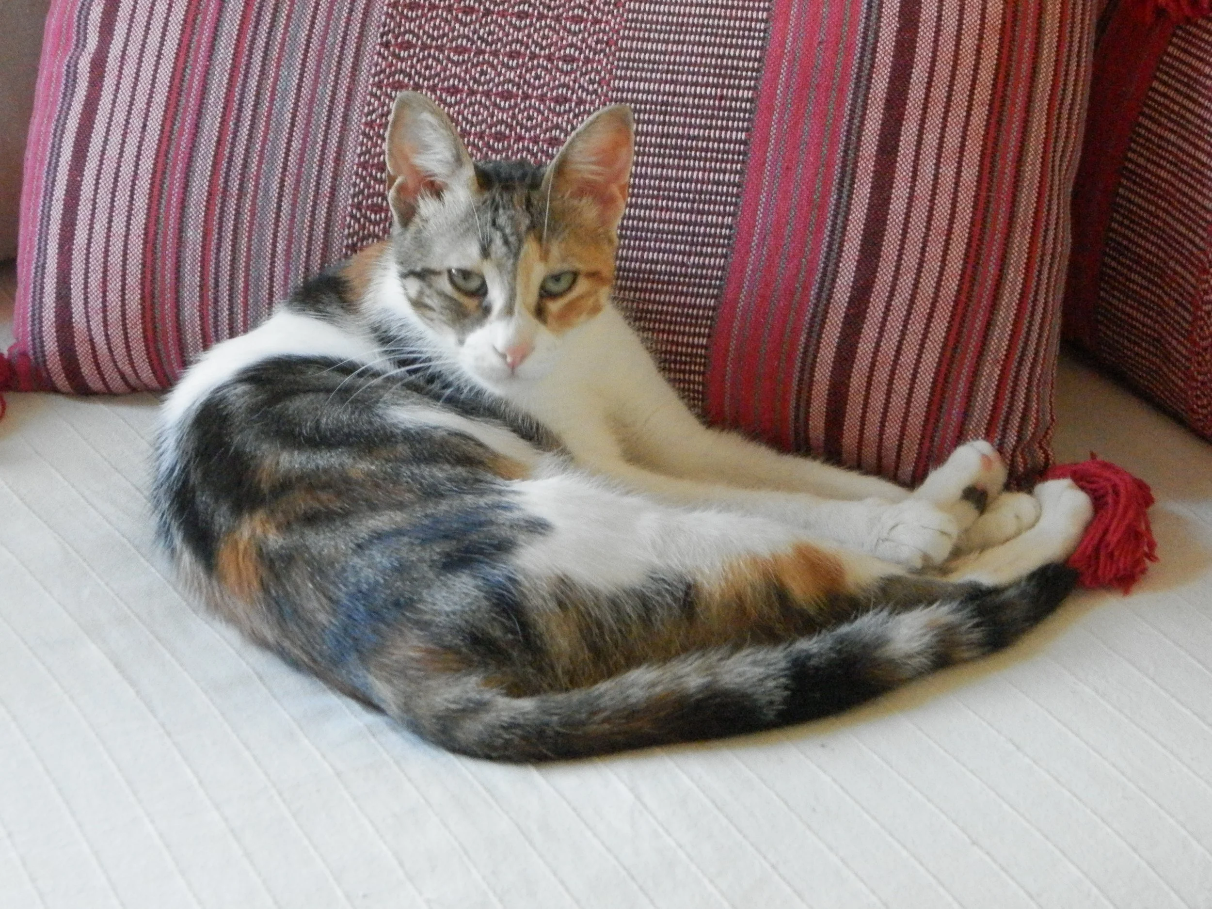 Theodora is adopted in England!