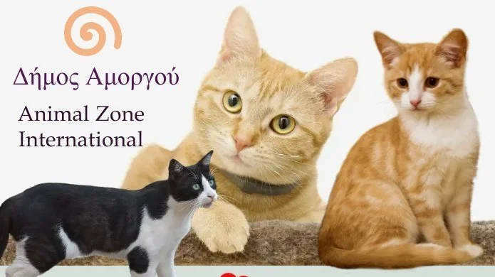 Winter sterilization program