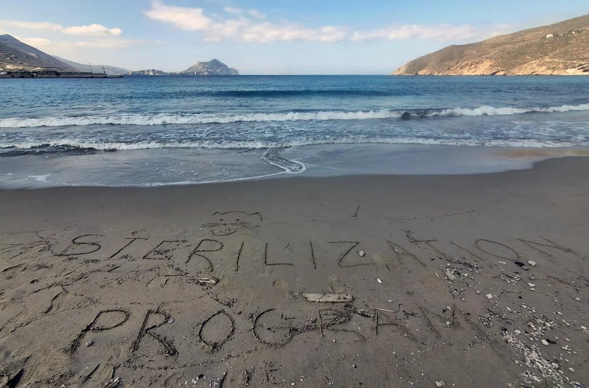 Mission Accomplished: 205 Lives Changed in Our Latest Sterilization Marathon