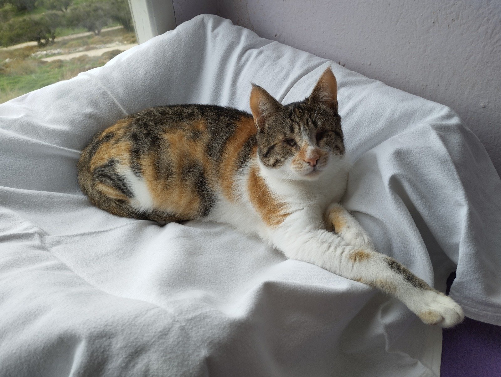 Iris is Adopted!