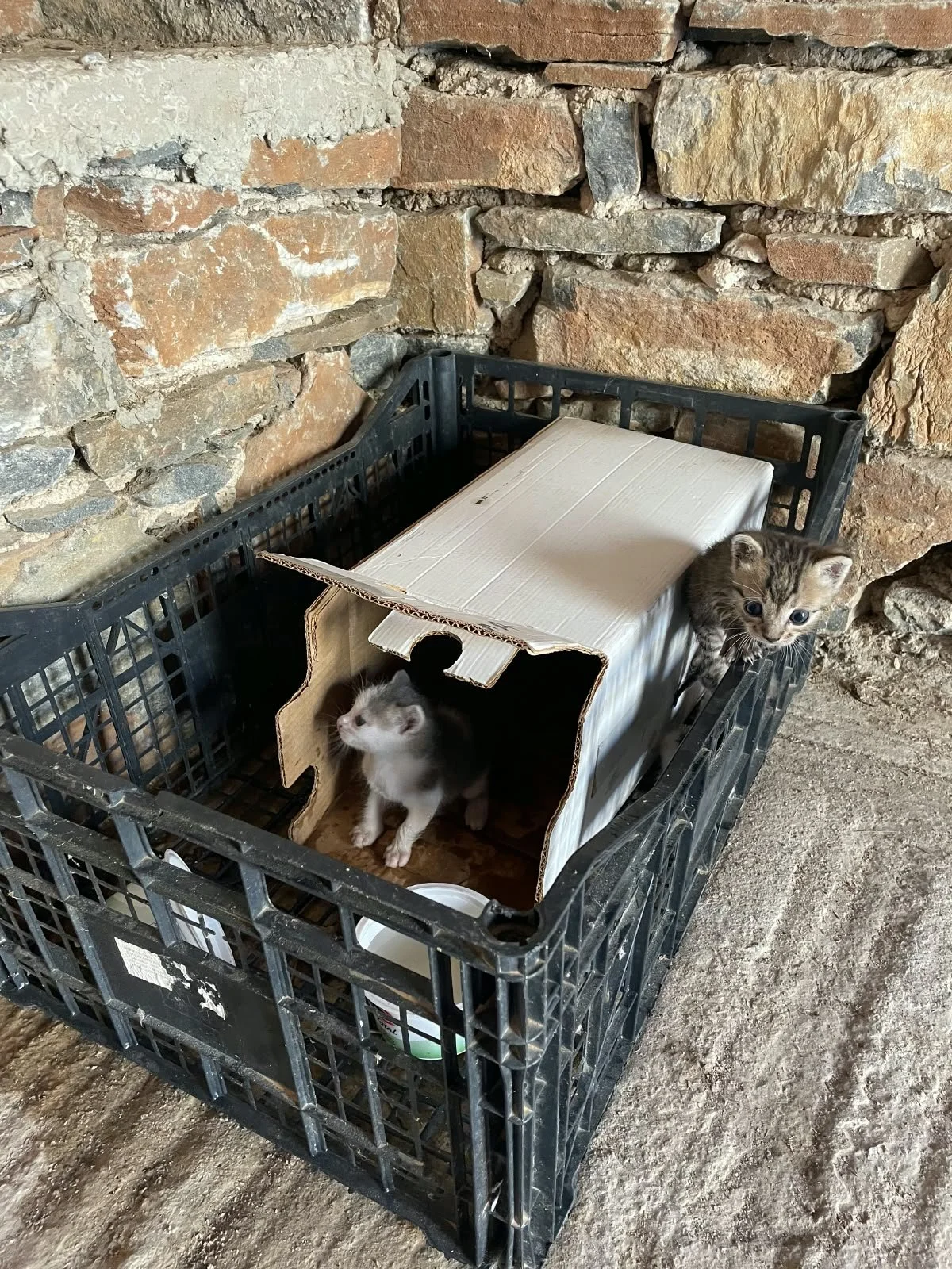 WhatsApp Image 2026-09-09 at 02.56.20 (2).jpeg